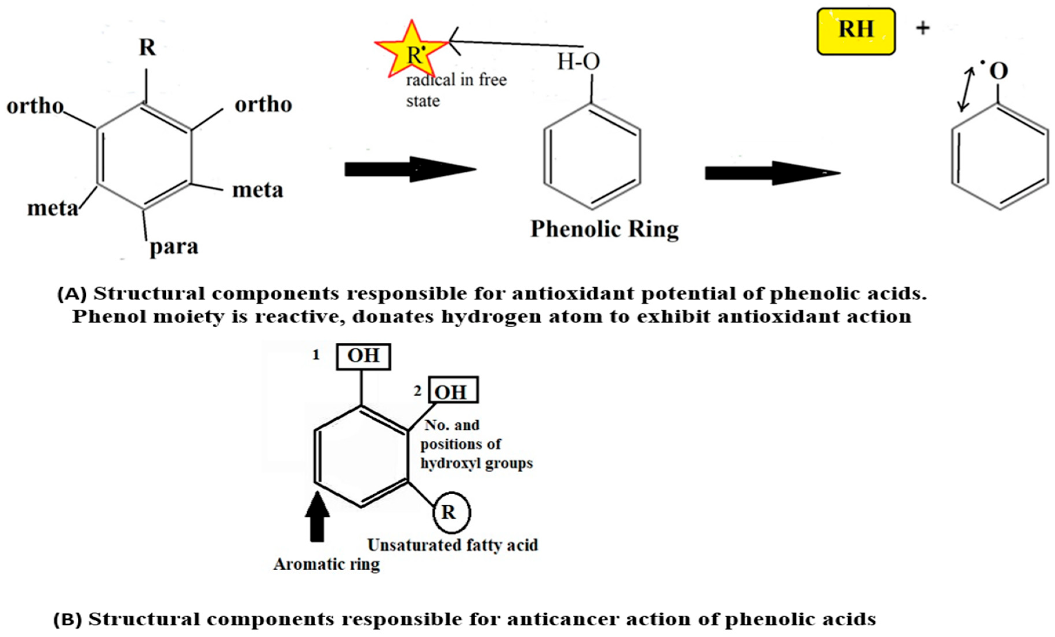 Molecules 27 07286 g006 Molecules 27 07286 g006
