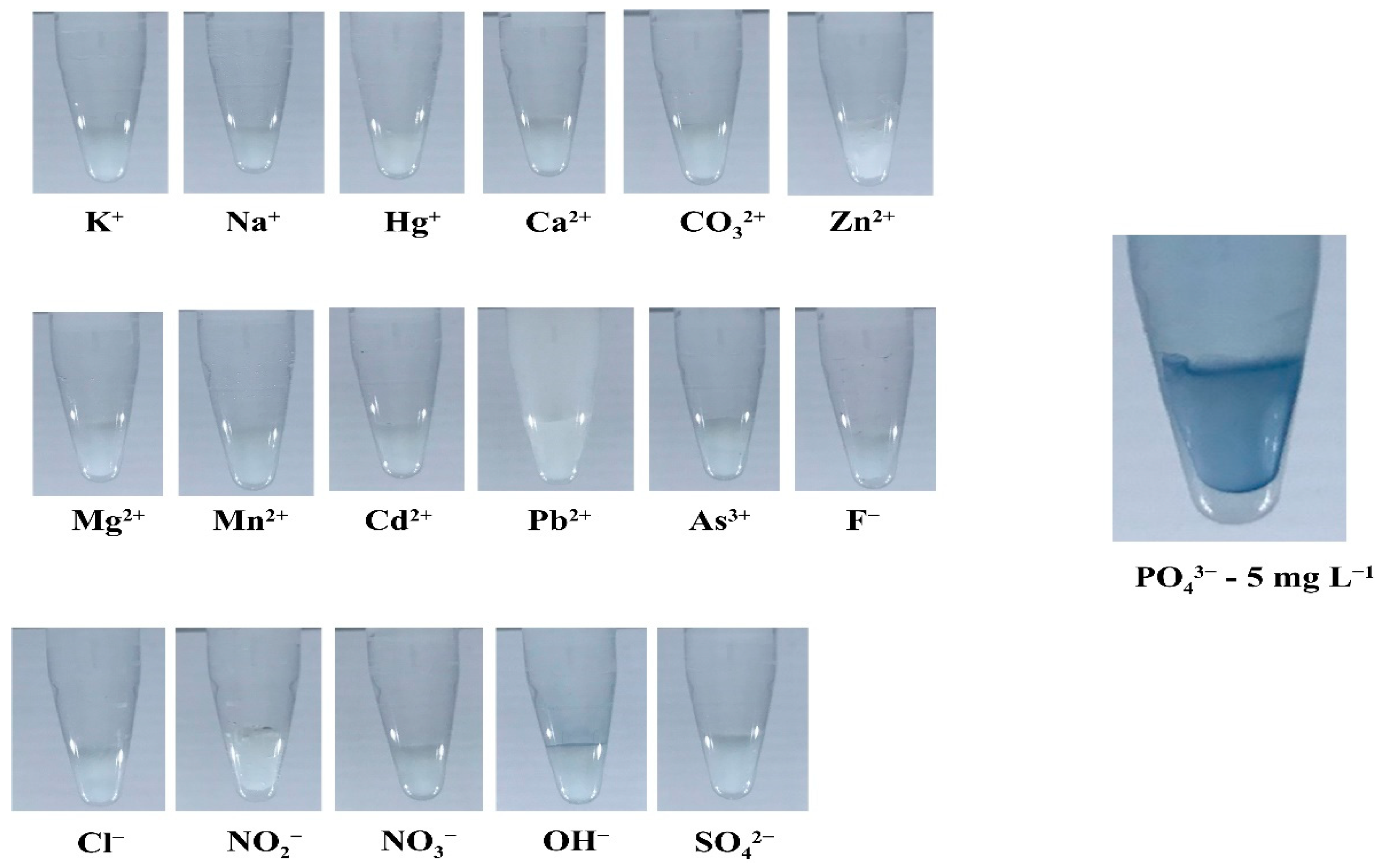 Molecules 27 07287 g006 Molecules 27 07287 g006