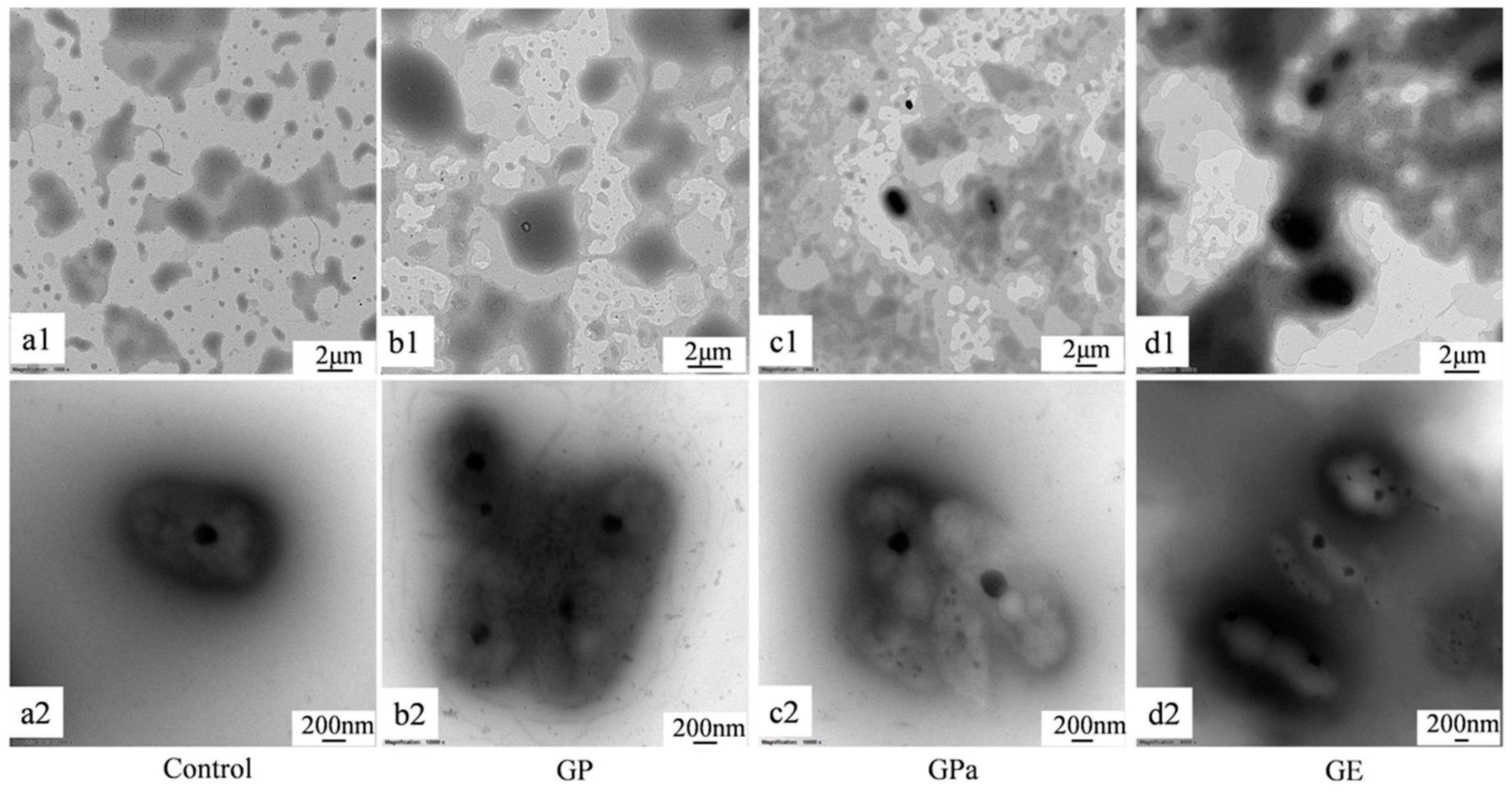 Molecules 27 07301 g008