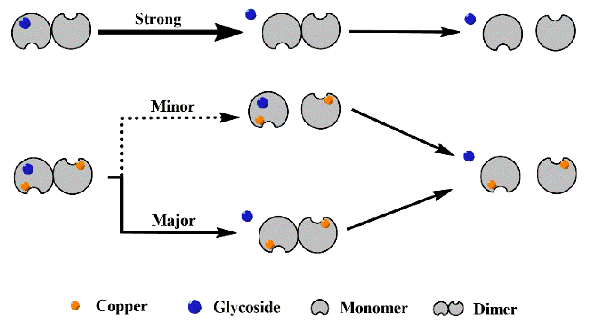 Molecules 27 07303 g004 Molecules 27 07303 g004