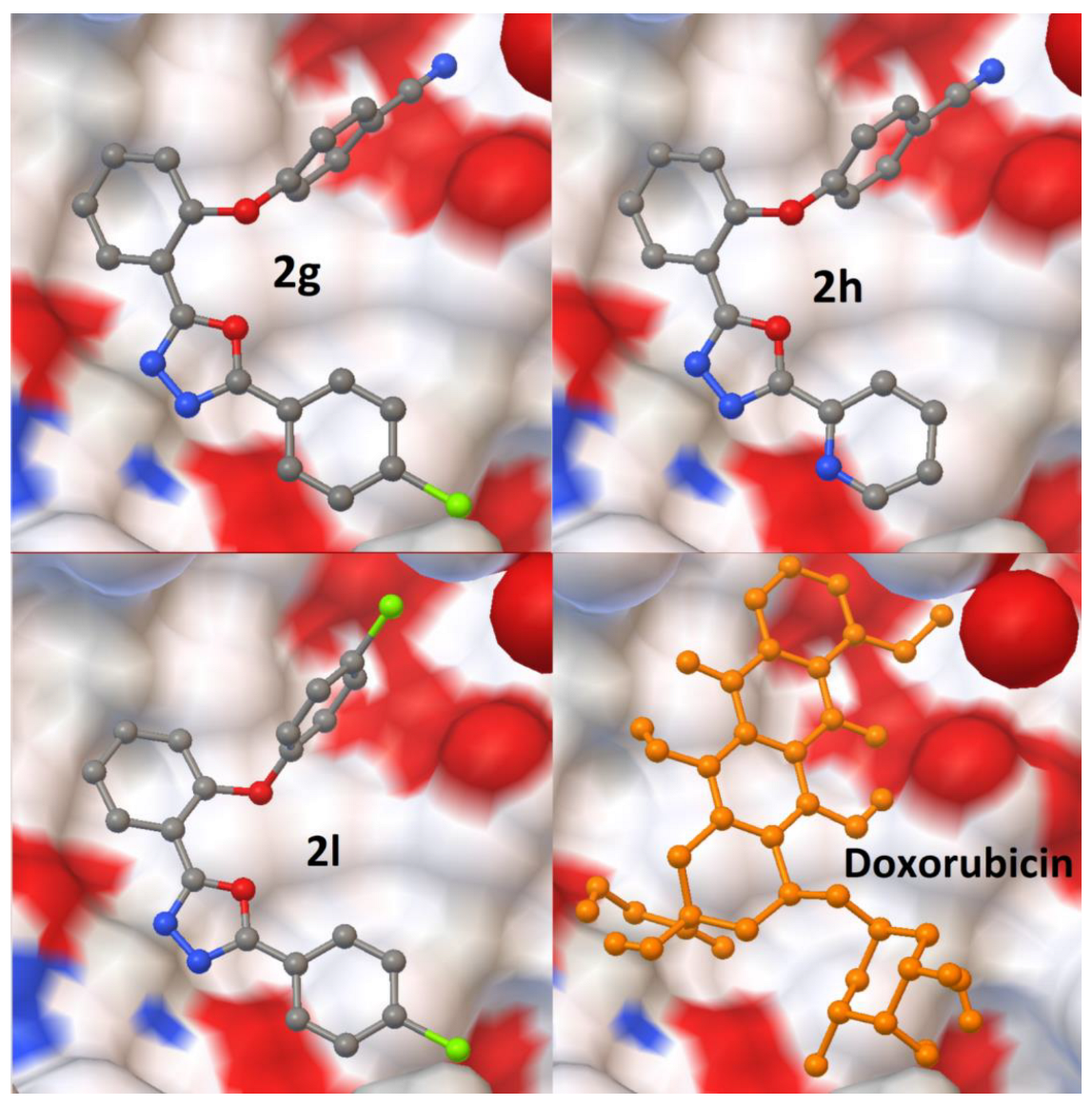 Molecules 27 07309 g006 Molecules 27 07309 g006