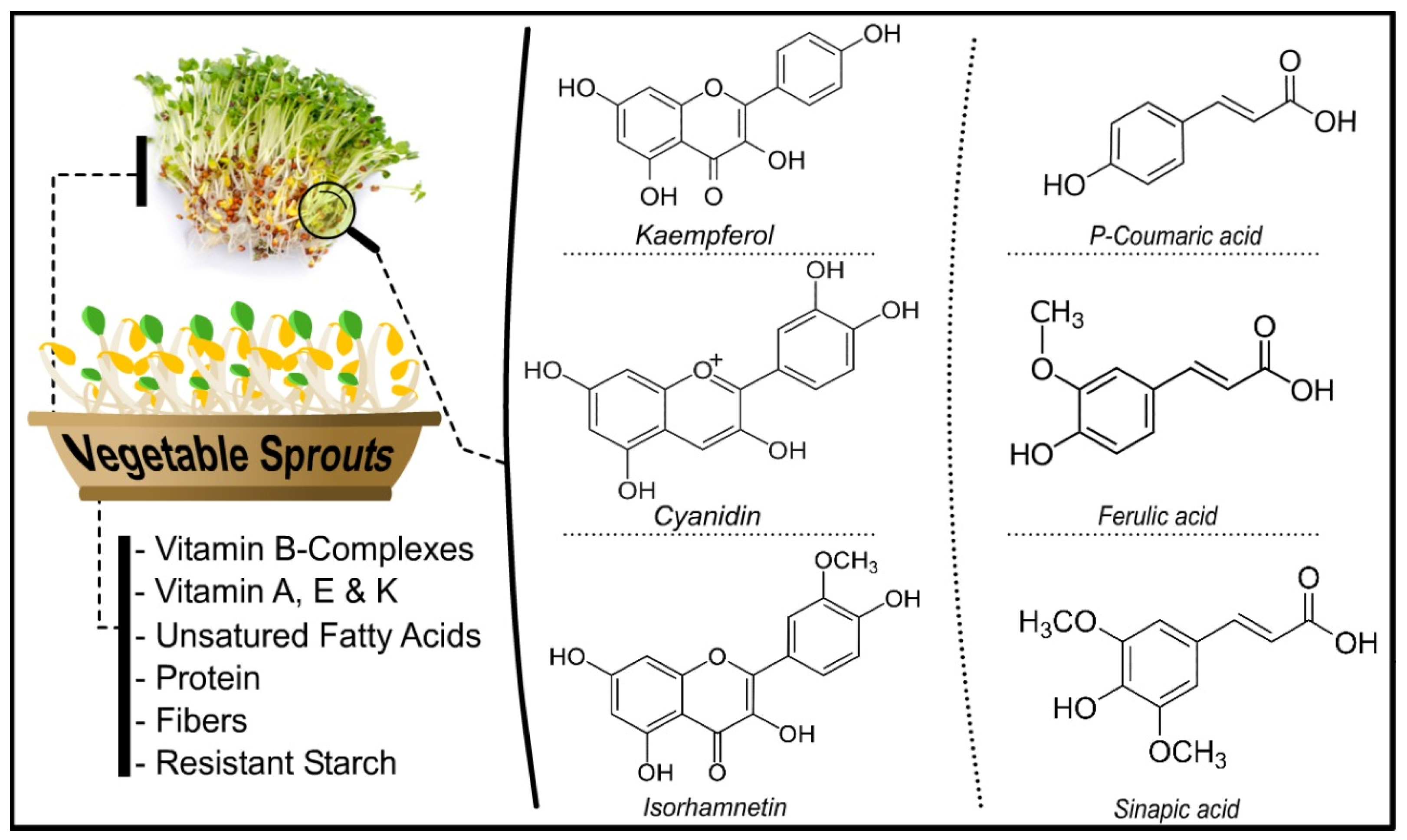 Molecules 27 07320 g001 Molecules 27 07320 g001