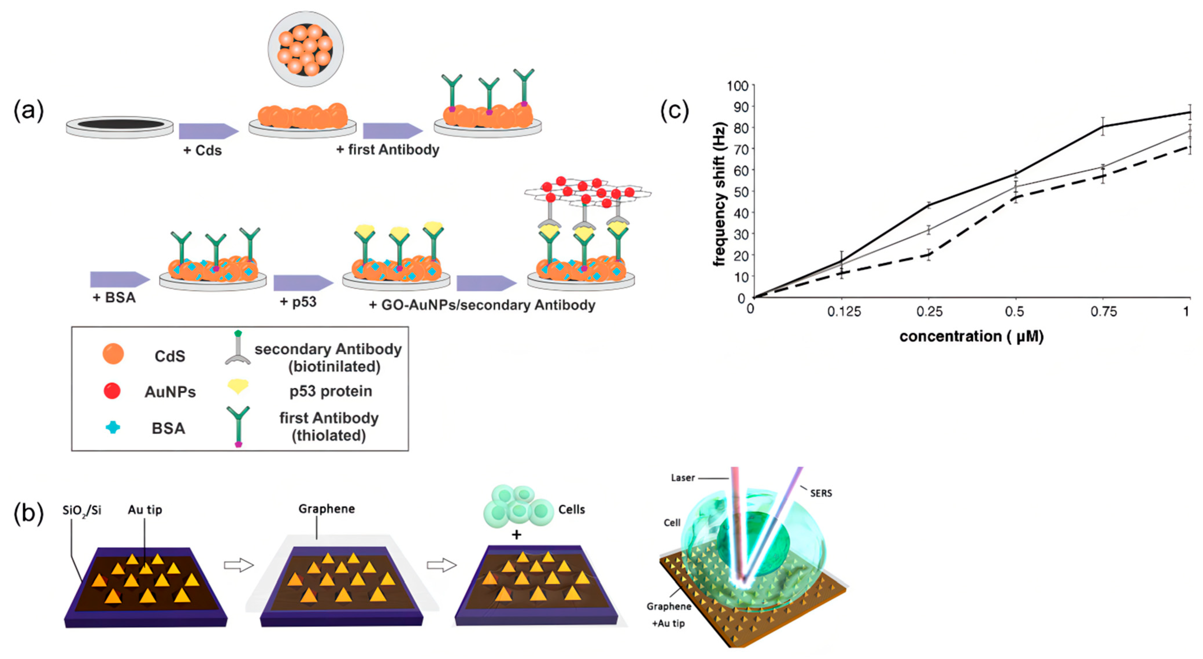 Molecules 27 07327 g010