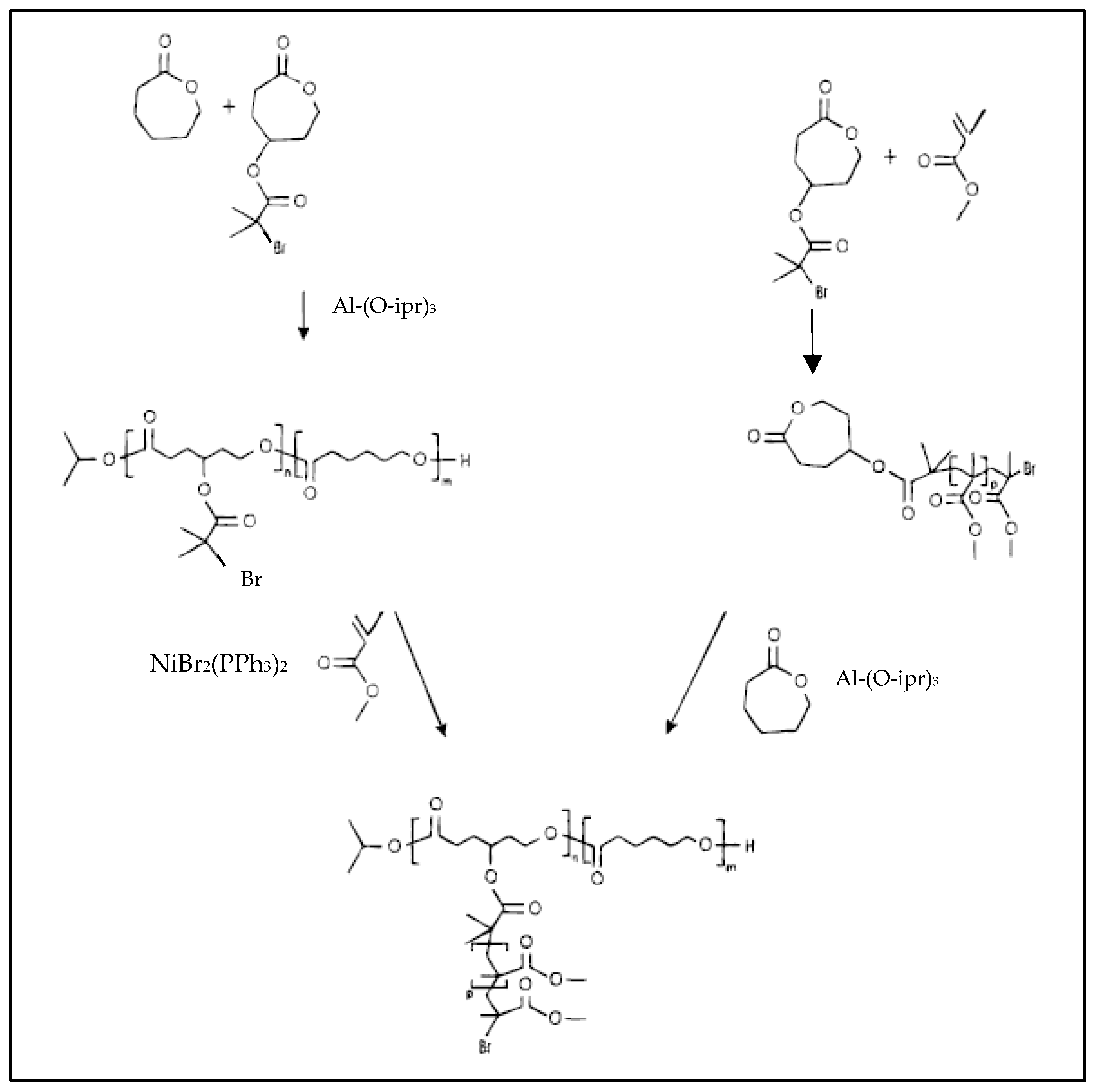 Molecules 27 07339 g009 Molecules 27 07339 g009