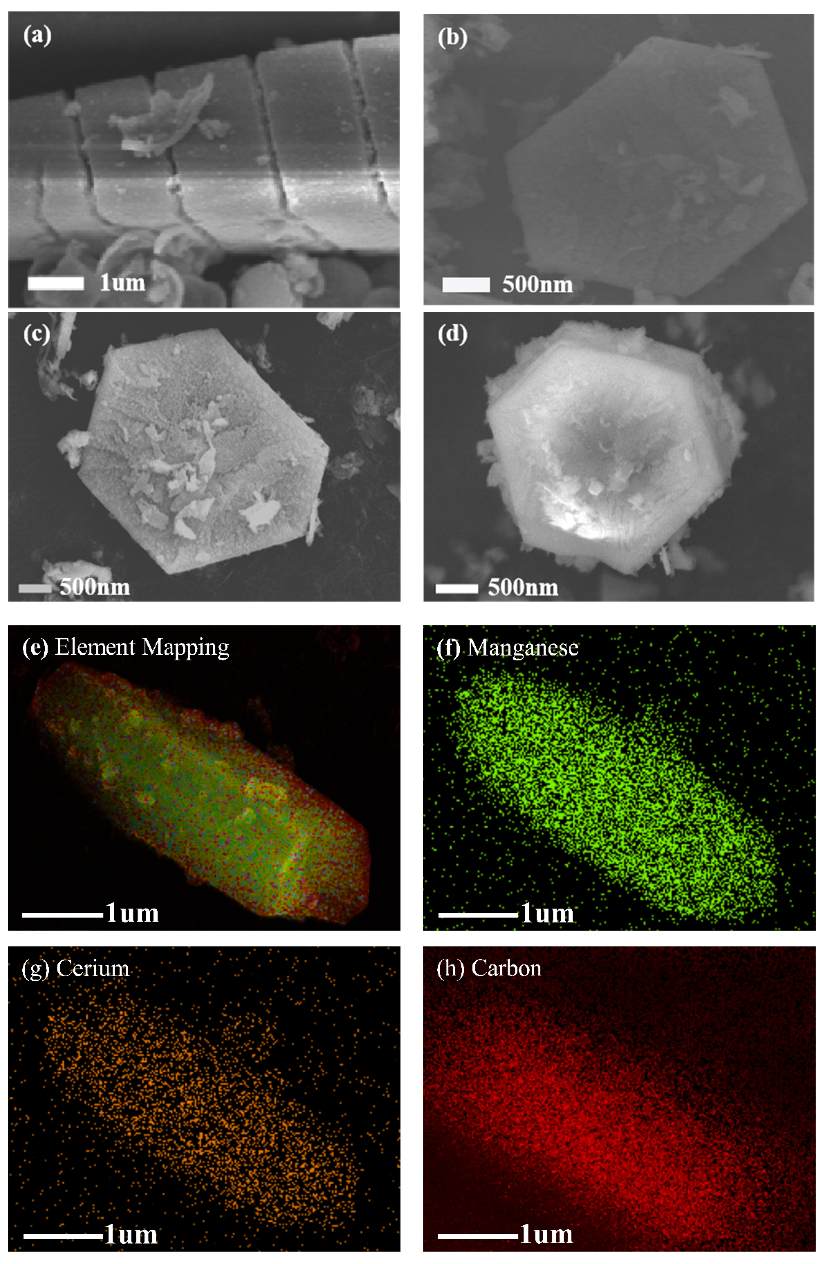 Molecules 27 07363 g002a Molecules 27 07363 g002a