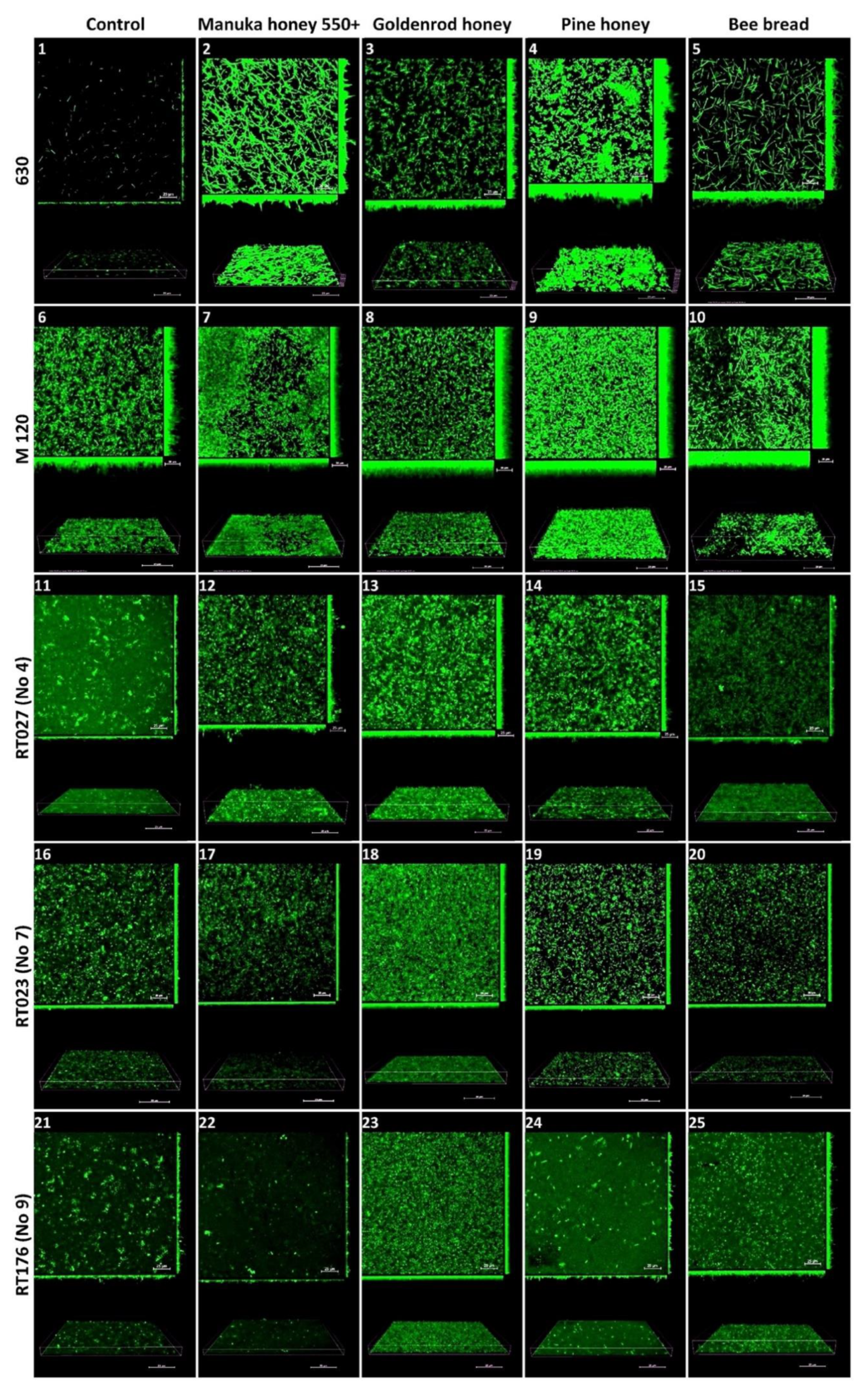 Molecules 27 07385 g002 Molecules 27 07385 g002