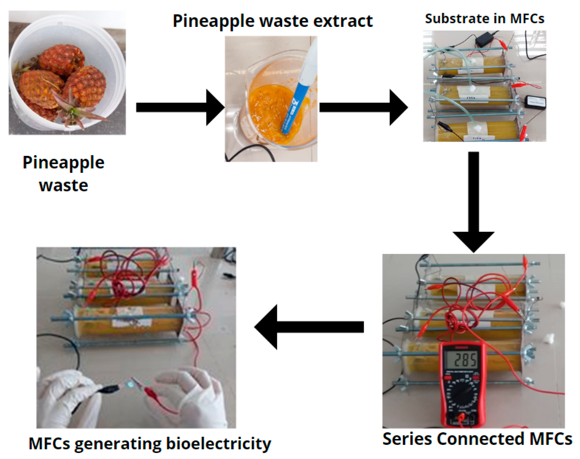 Molecules | Free Full-Text | Use Of Pineapple Waste As Fuel In ...