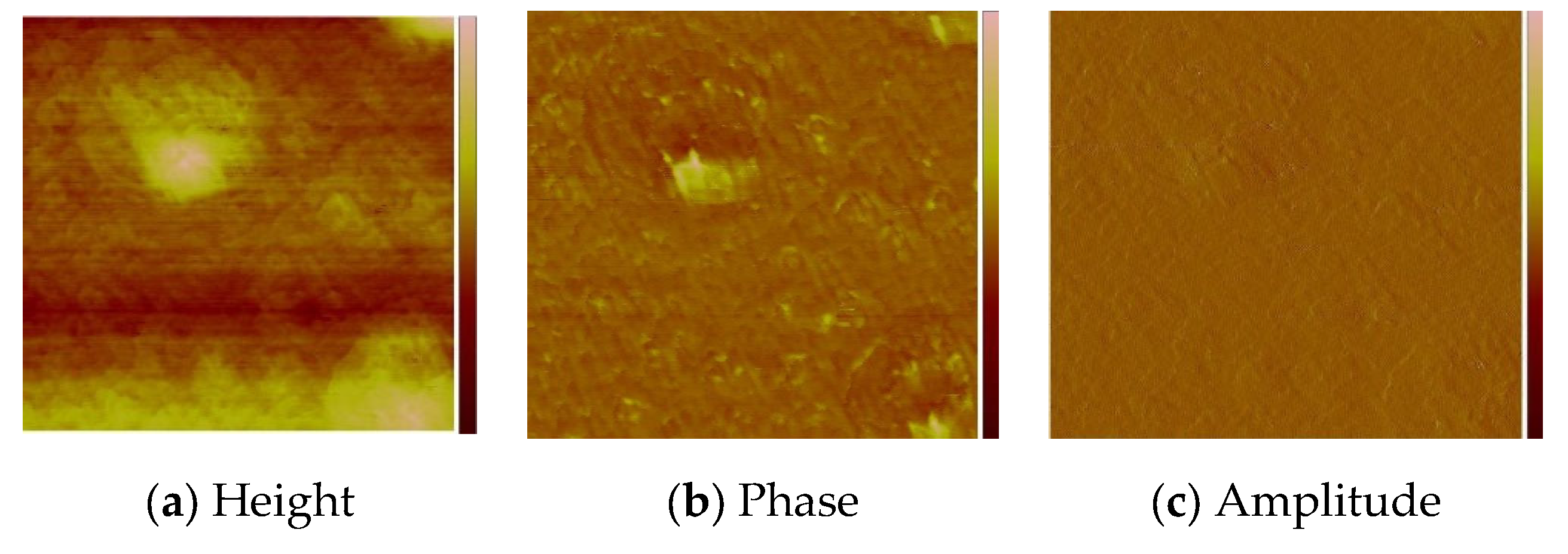 Molecules 27 07396 g010 Molecules 27 07396 g010