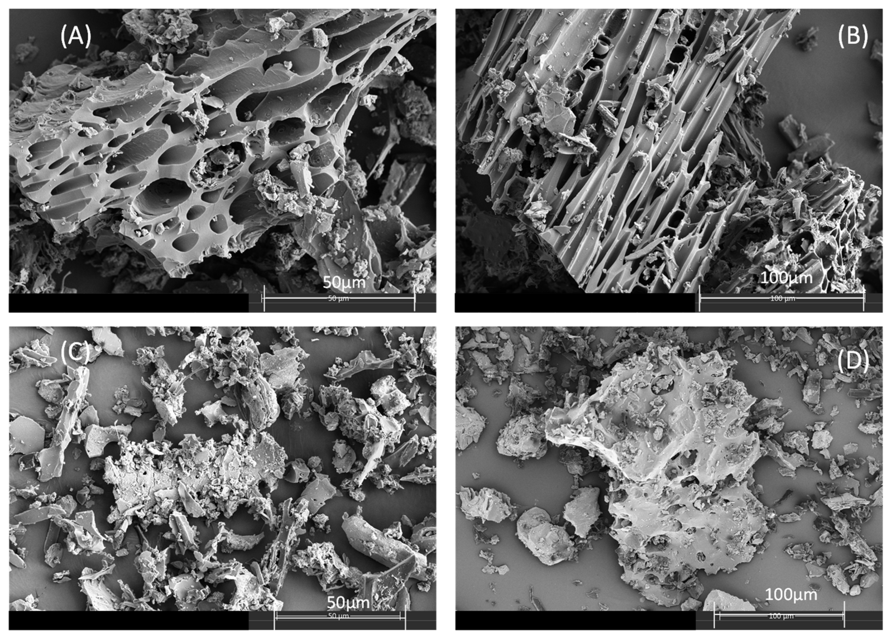 Molecules 27 07418 g001