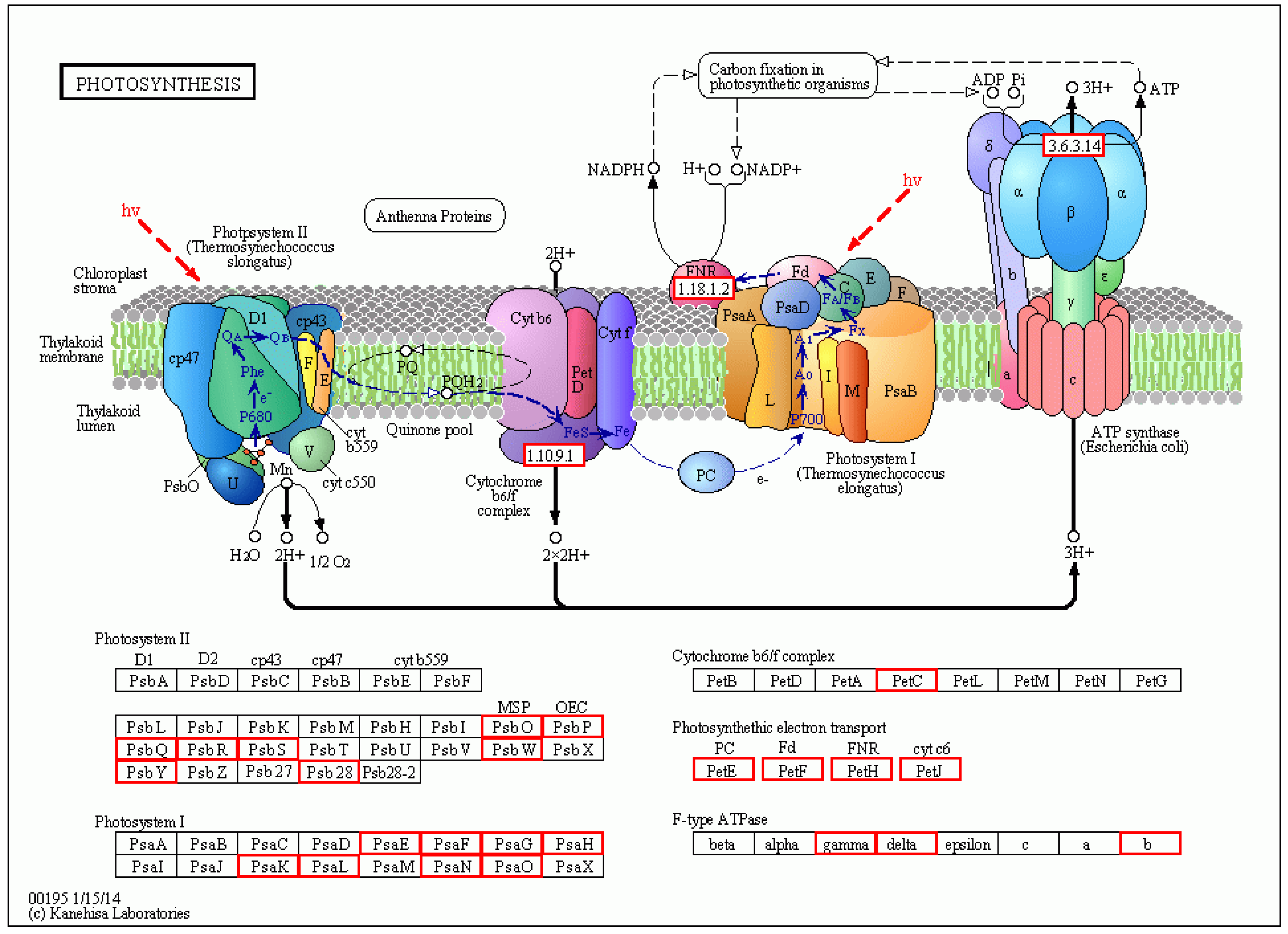 Molecules 27 07474 g011 Molecules 27 07474 g011