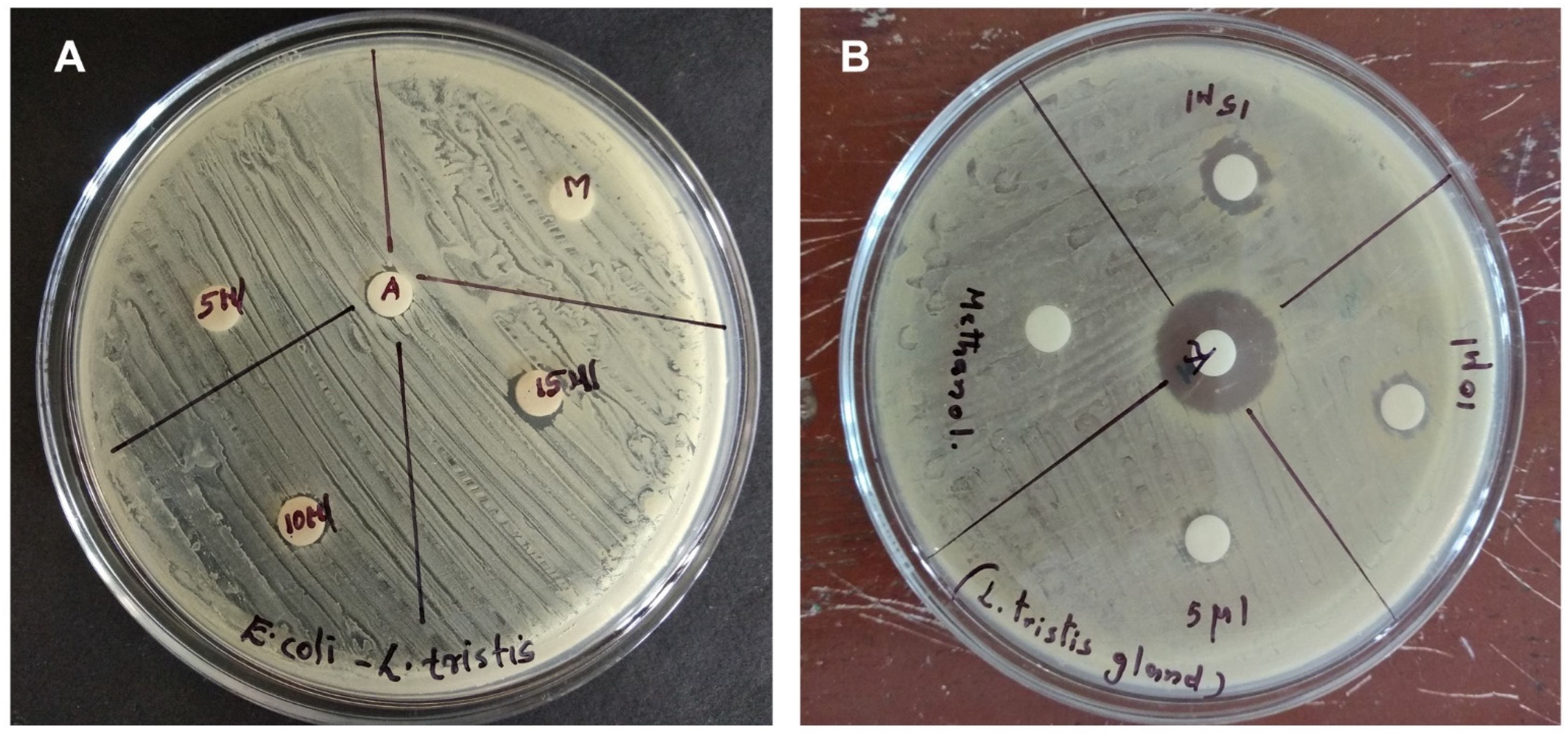 Molecules 27 07476 g005