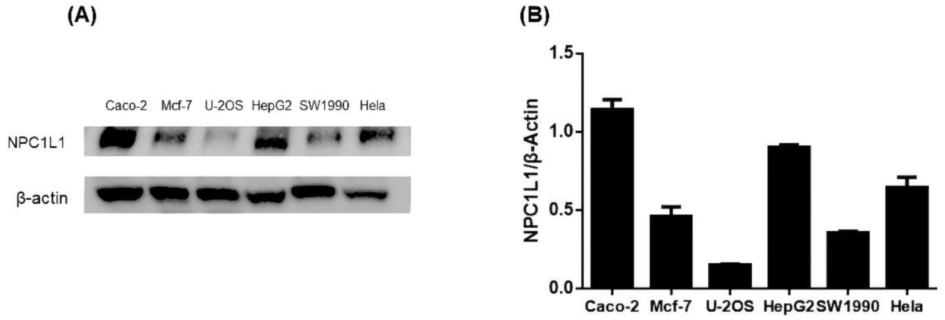 Molecules 27 07494 g003 Molecules 27 07494 g003