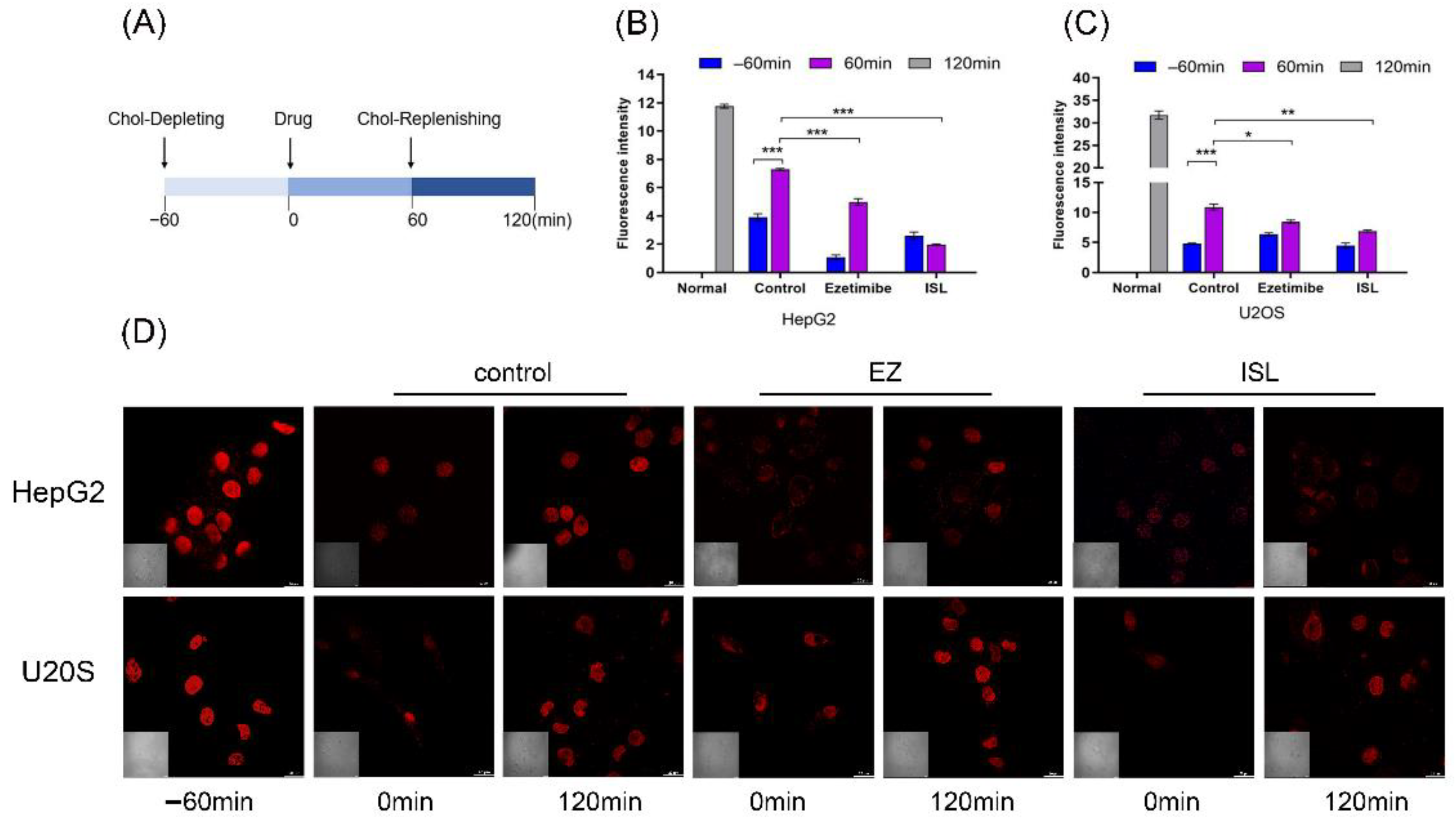 Molecules 27 07494 g005 Molecules 27 07494 g005