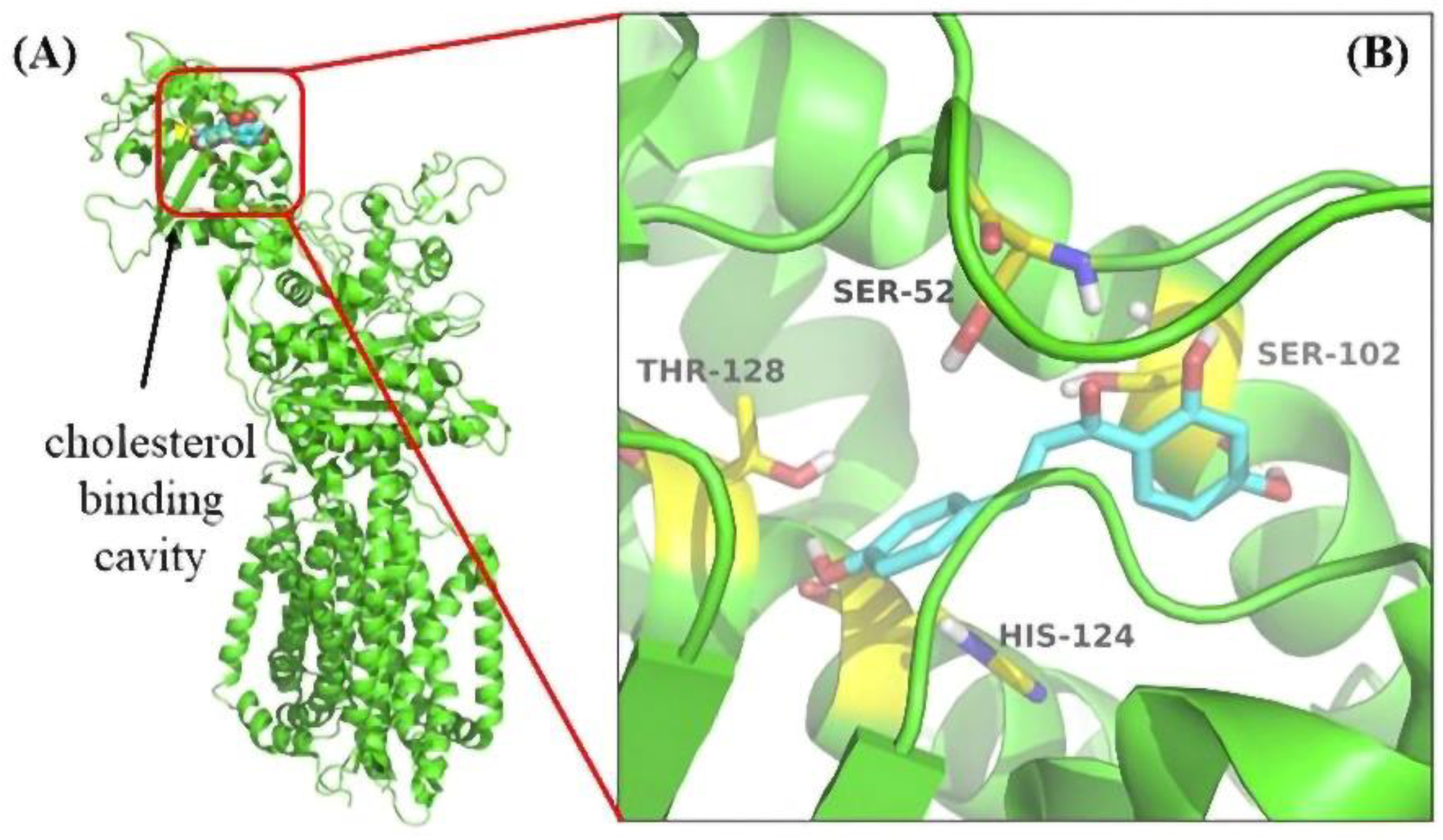 Molecules 27 07494 g007 Molecules 27 07494 g007