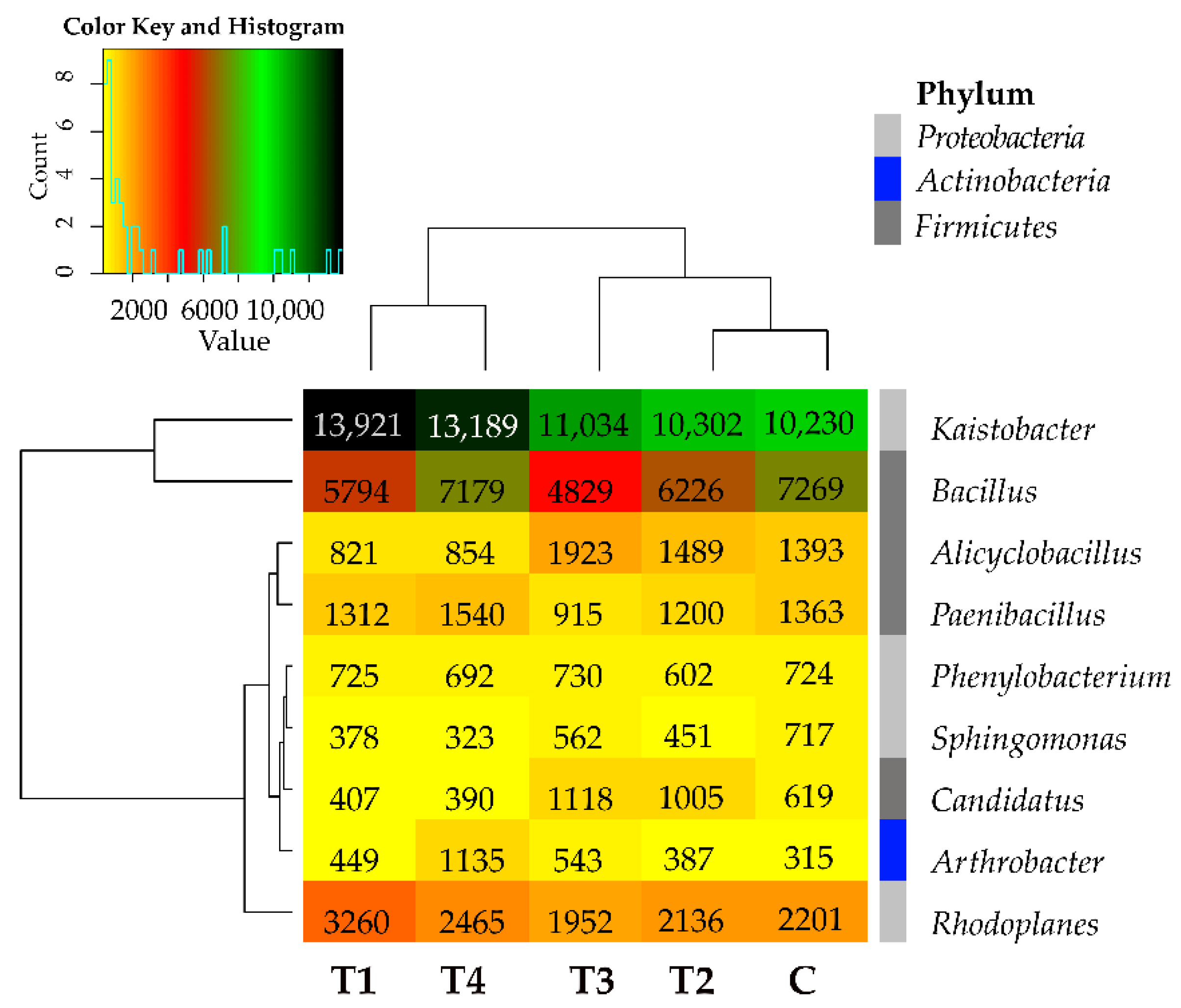 Molecules Free Full Text Effects of Tebuconazole Application