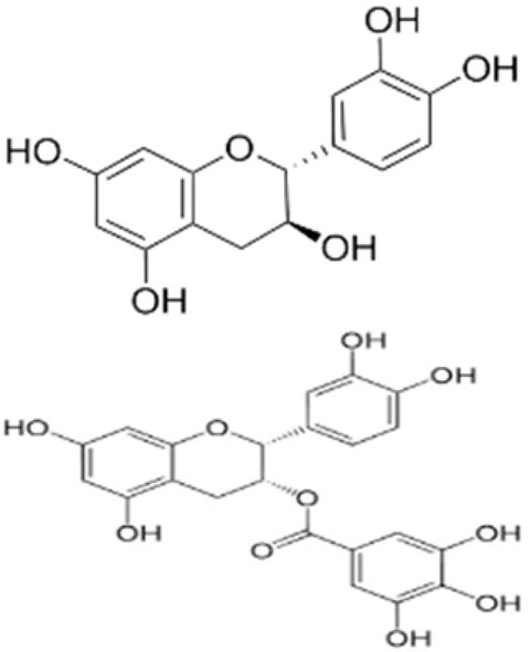 Molecules 27 07513 i007 Molecules 27 07513 i007