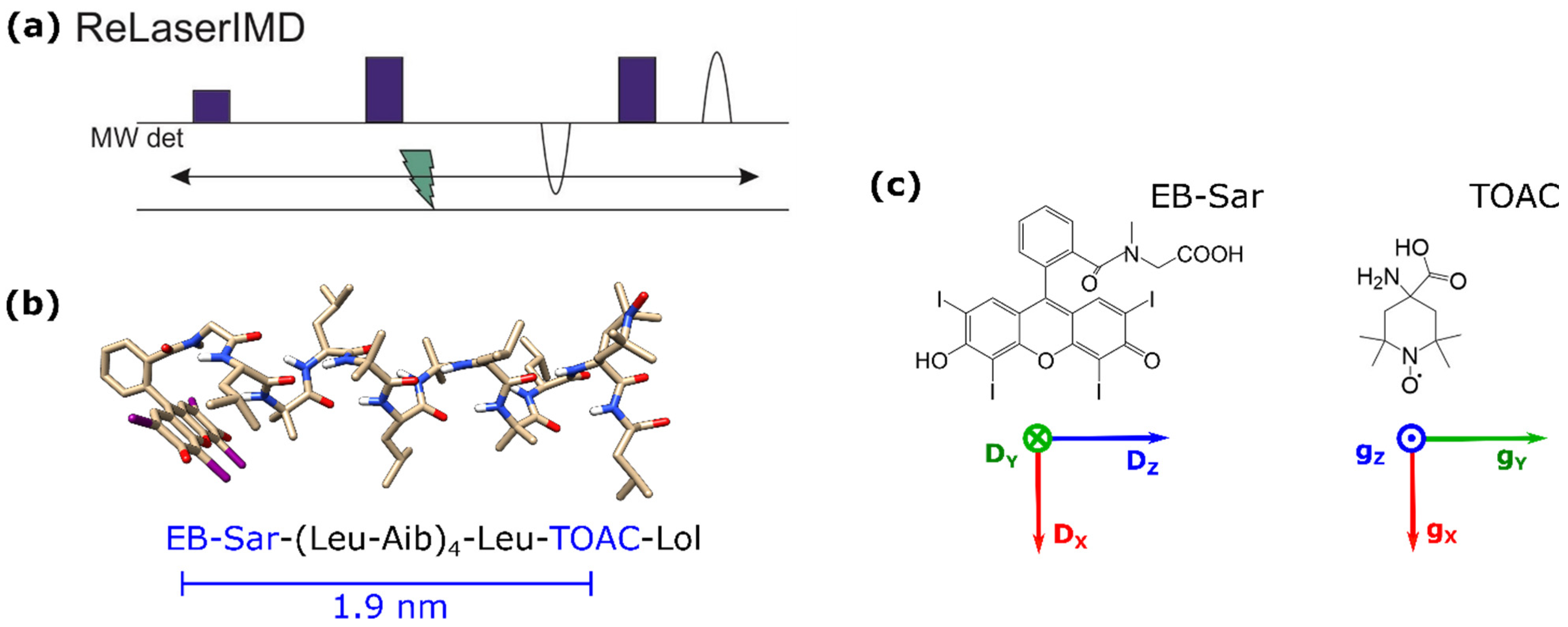 Molecules | Free Full-Text | Erythrosin B As A New Photoswitchable Spin ...