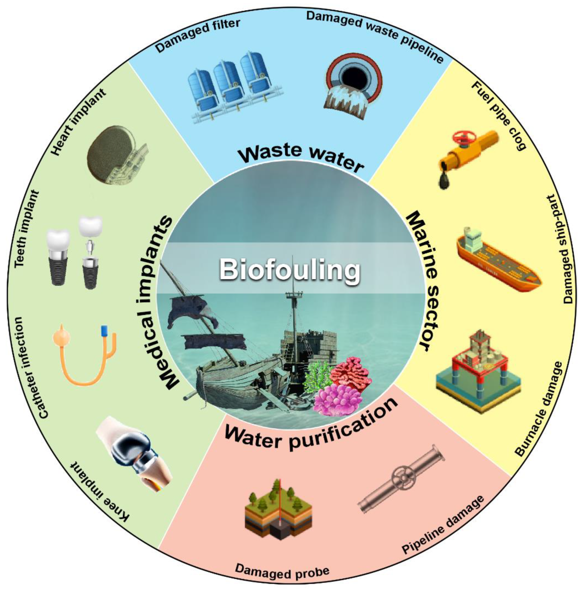 Molecules | Free Full-Text | Marine Antimicrobial Peptides-Based