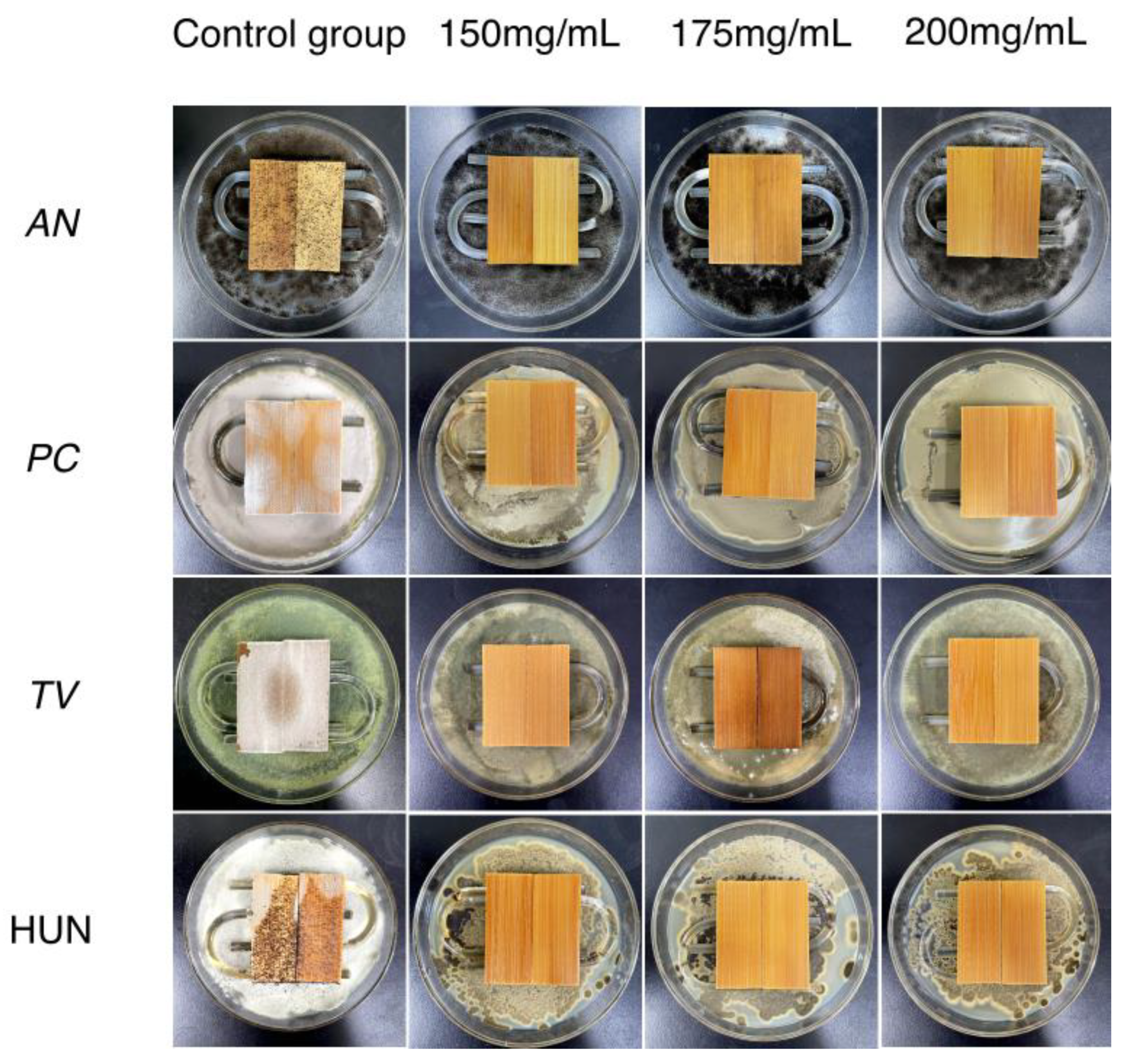 Molecules 27 07549 g004 Molecules 27 07549 g004