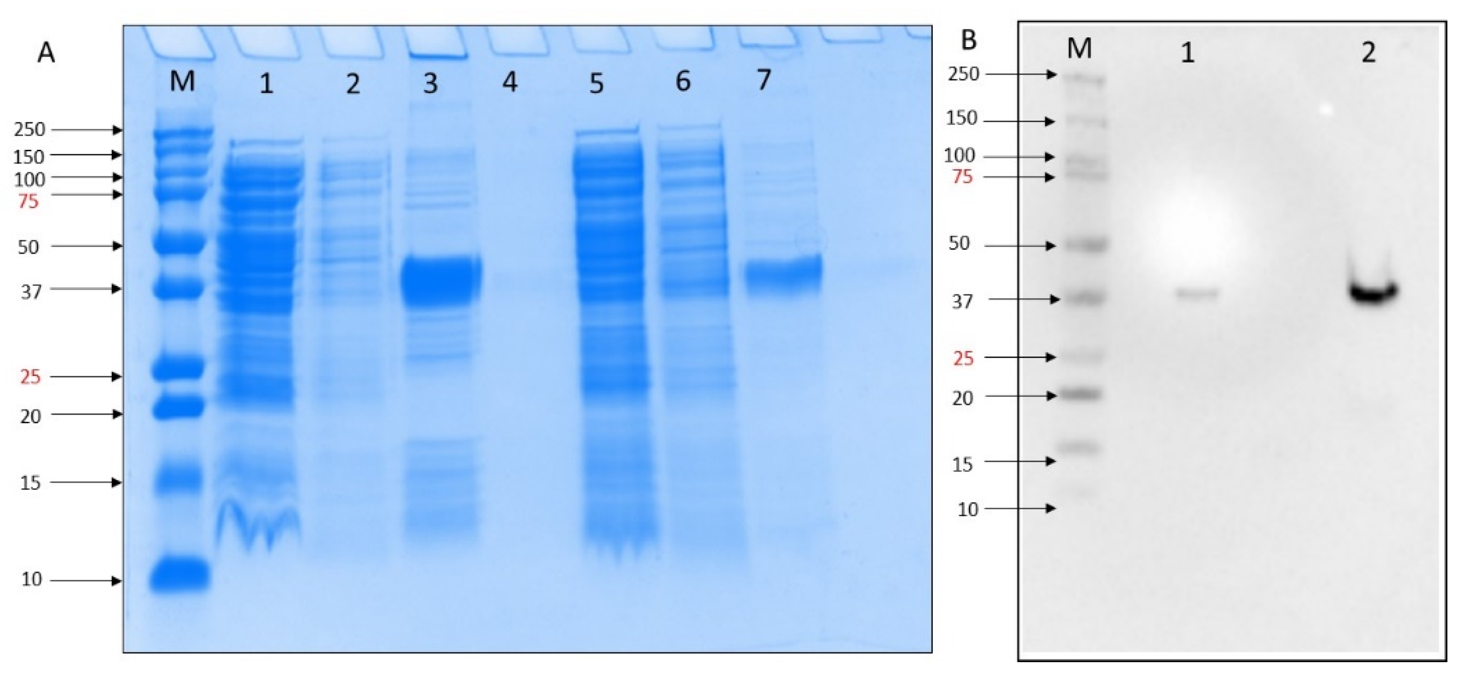 Molecules 27 07553 g001 Molecules 27 07553 g001