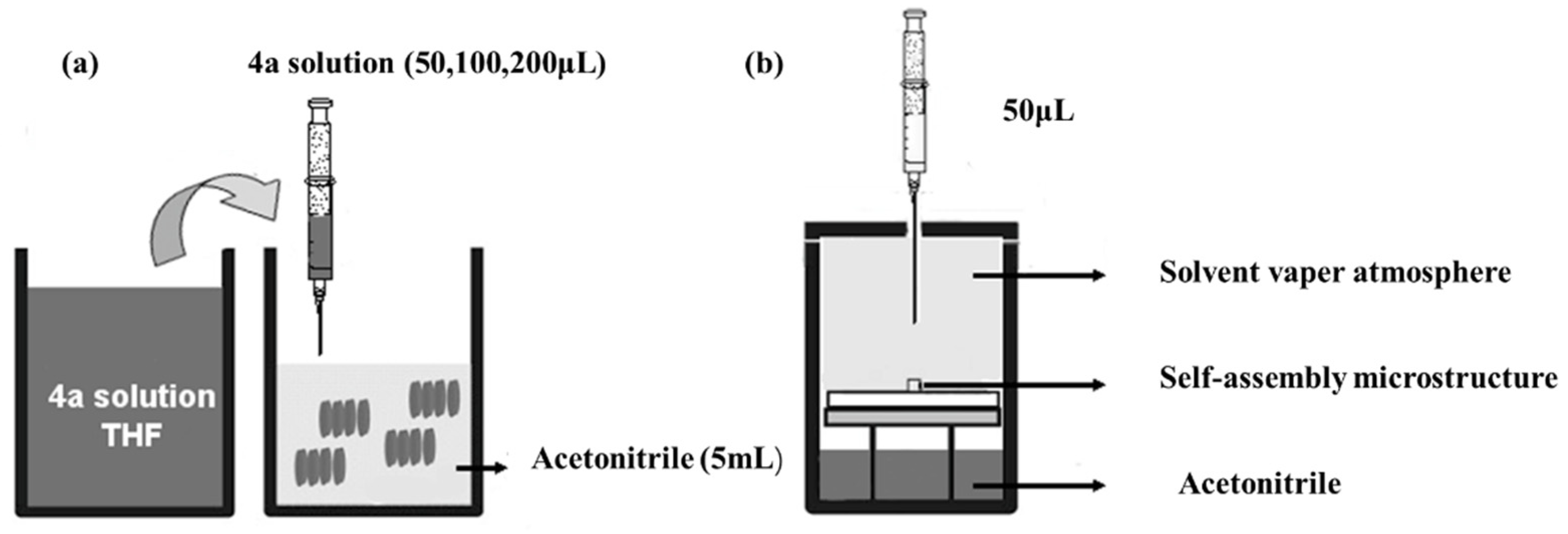 Molecules 27 07559 g003 Molecules 27 07559 g003