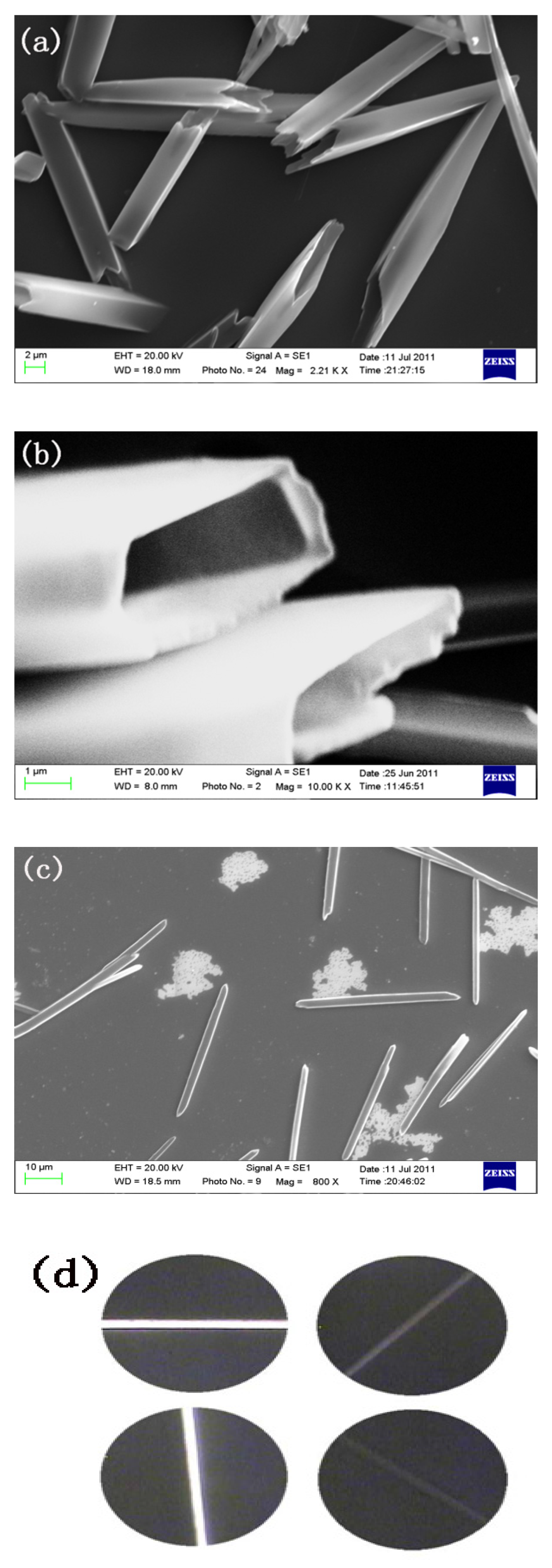Molecules 27 07559 g004 Molecules 27 07559 g004
