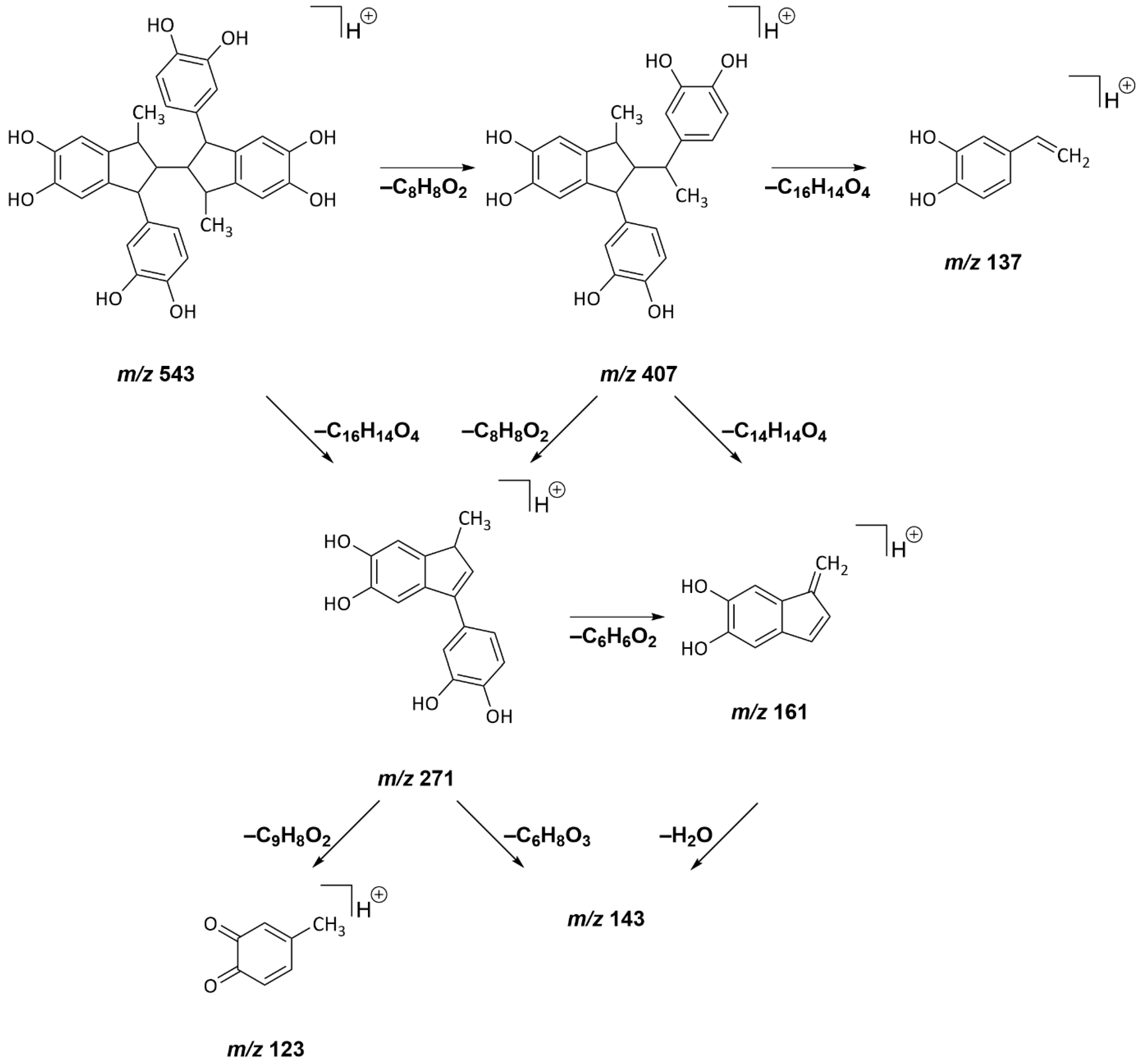 Molecules | Free Full-Text | Characterization of Colorants Formed by ...