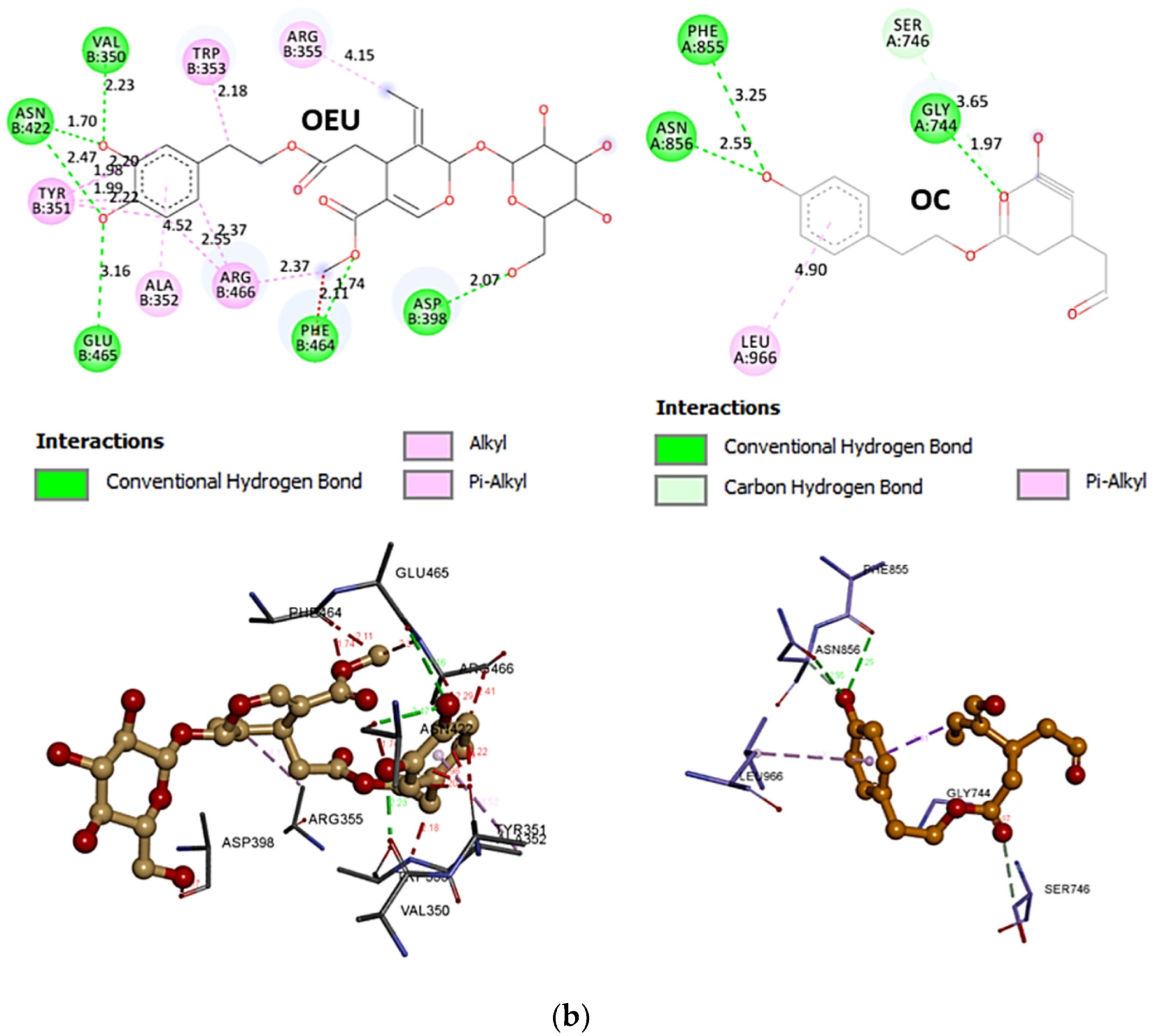 Molecules 27 07572 g003b Molecules 27 07572 g003b
