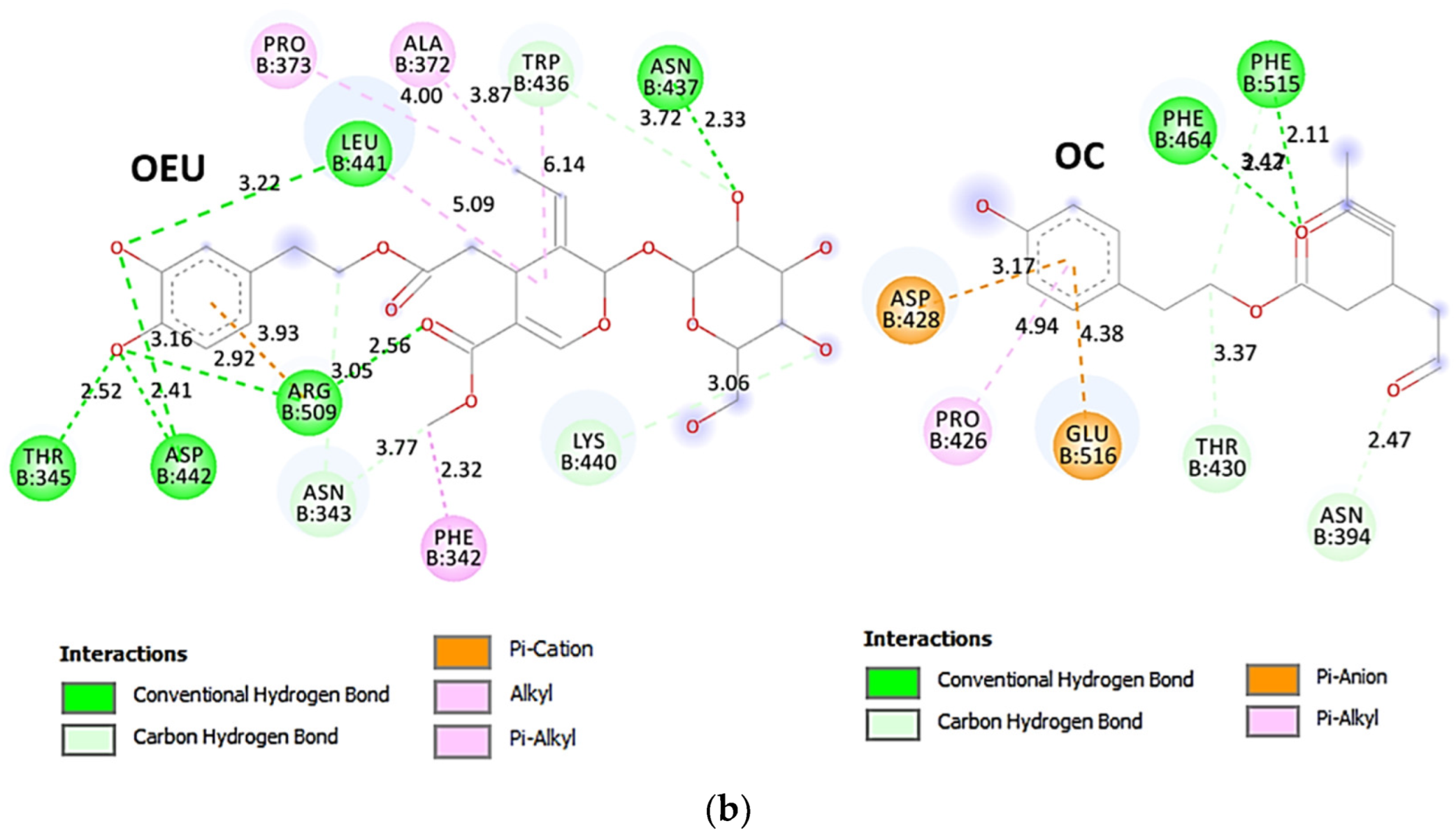 Molecules 27 07572 g008b Molecules 27 07572 g008b