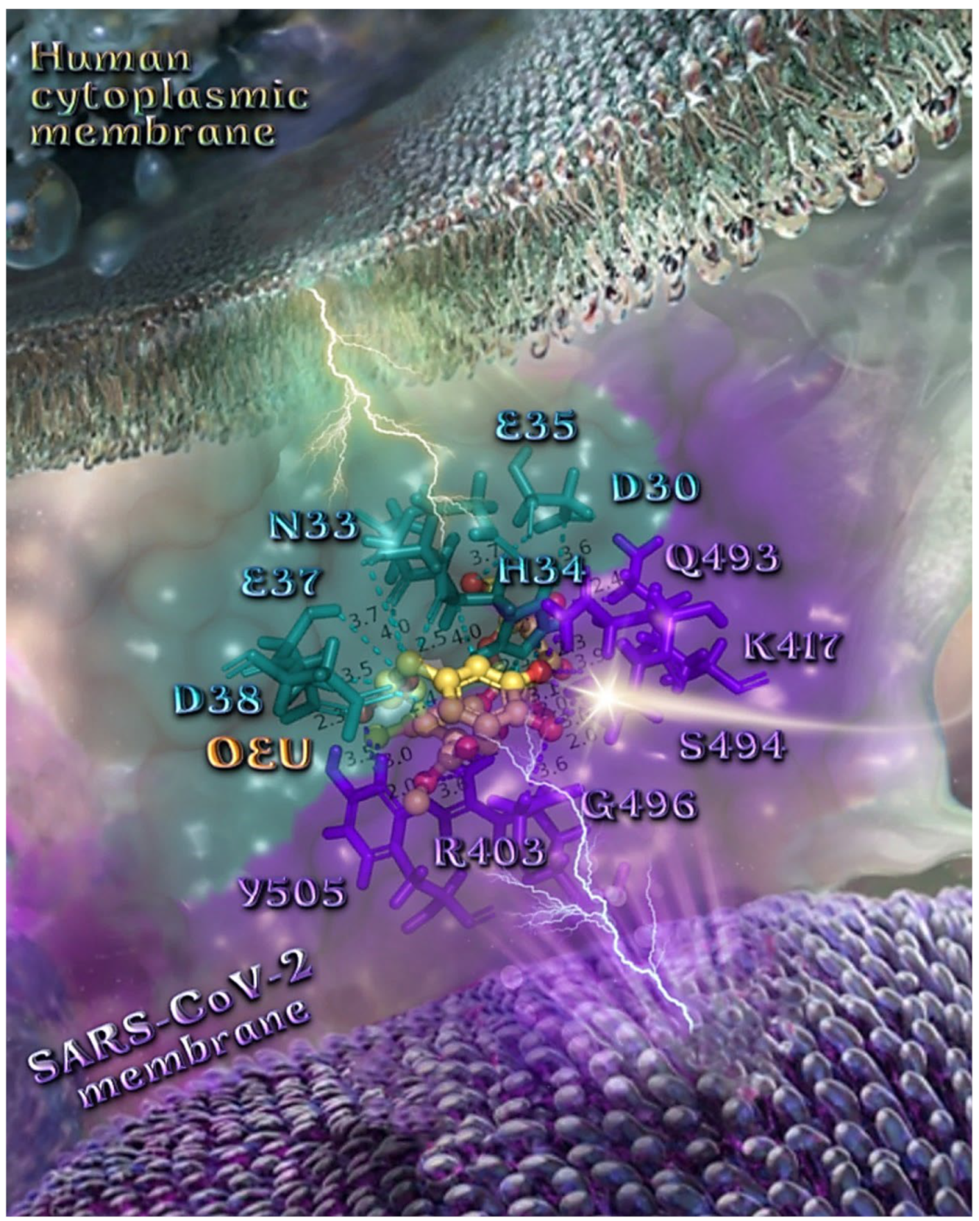 Molecules 27 07572 g013 Molecules 27 07572 g013
