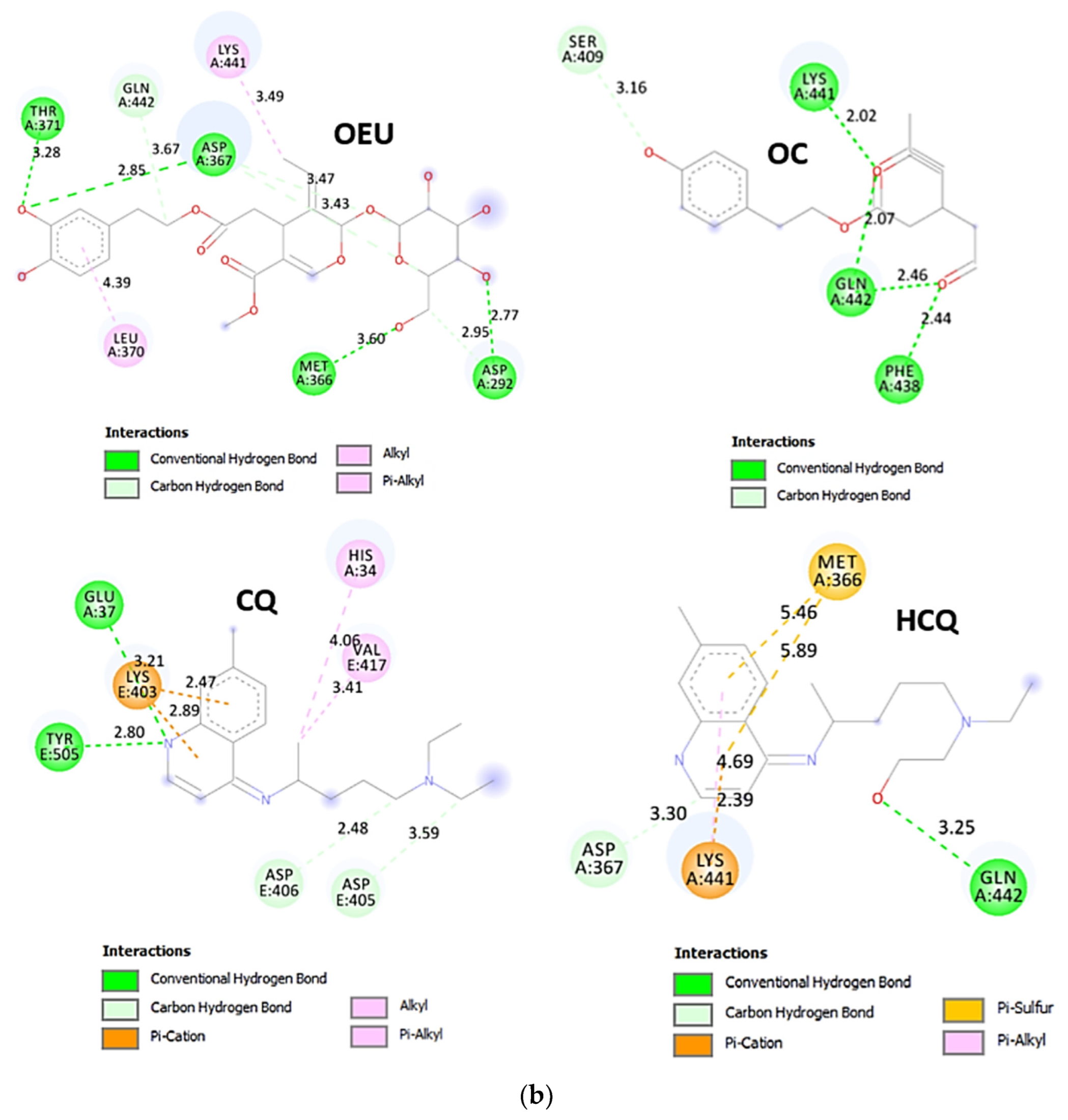 Molecules 27 07572 g014b Molecules 27 07572 g014b