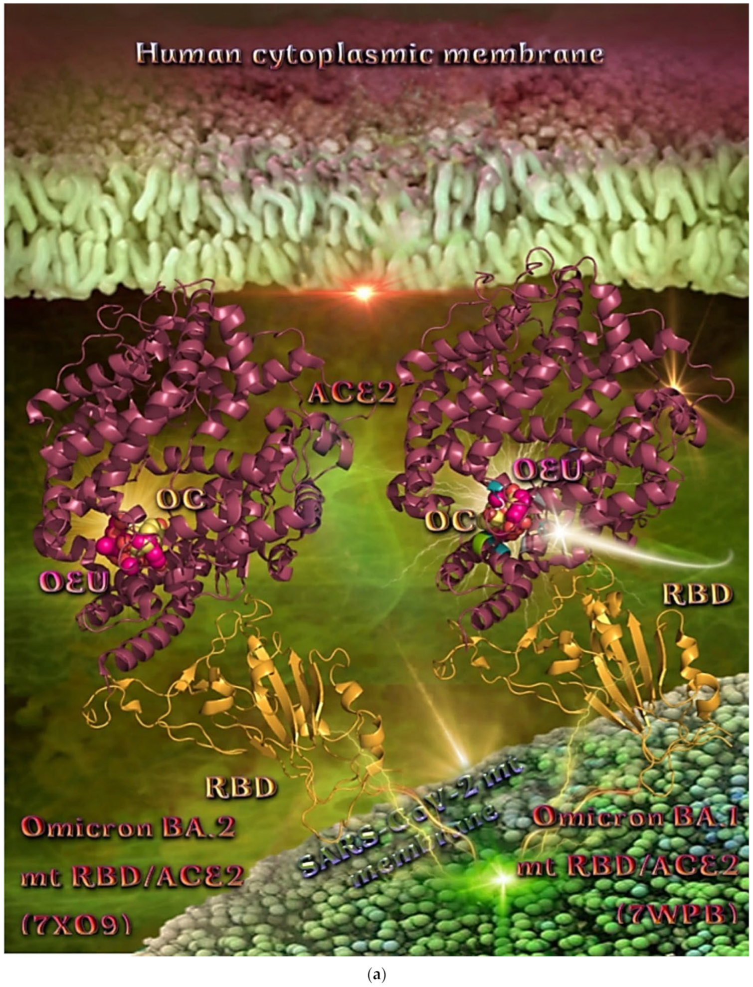 Molecules 27 07572 g016a Molecules 27 07572 g016a