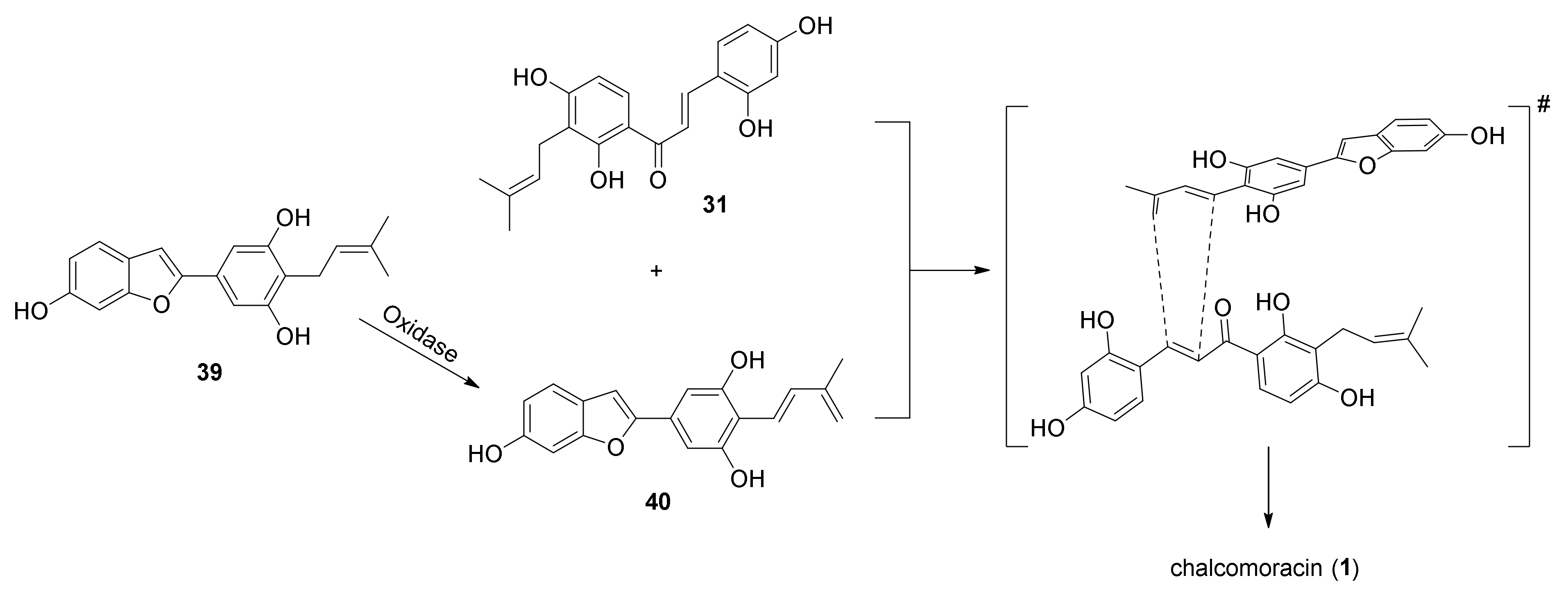 Molecules 27 07580 g012 Molecules 27 07580 g012
