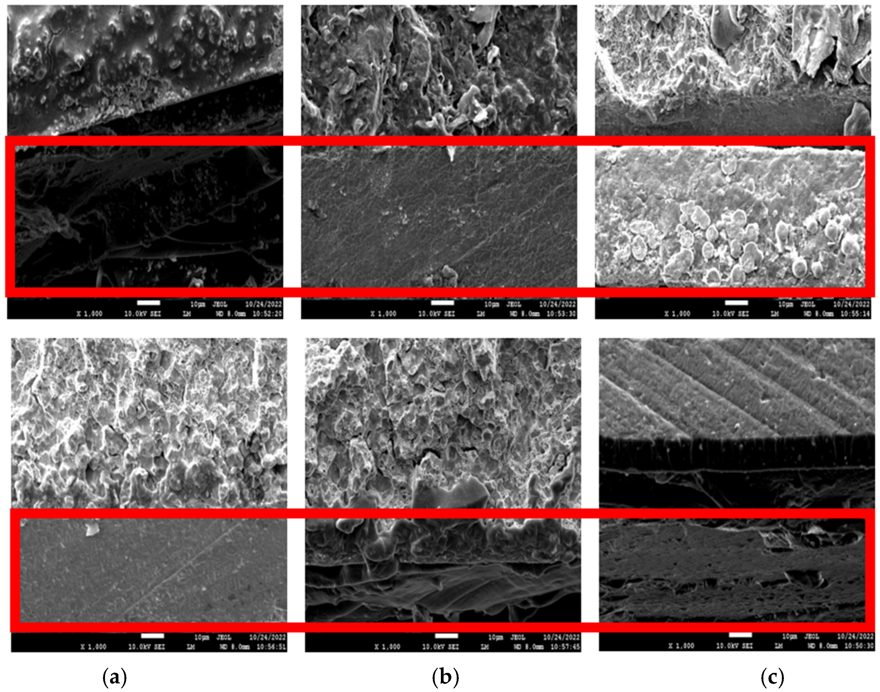 Molecules 27 07581 g005