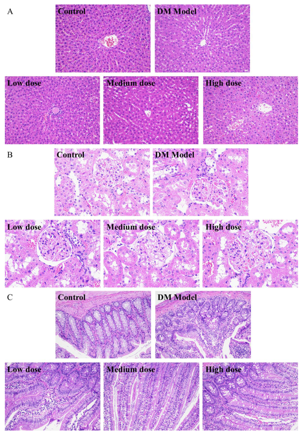 Molecules 27 07583 g005