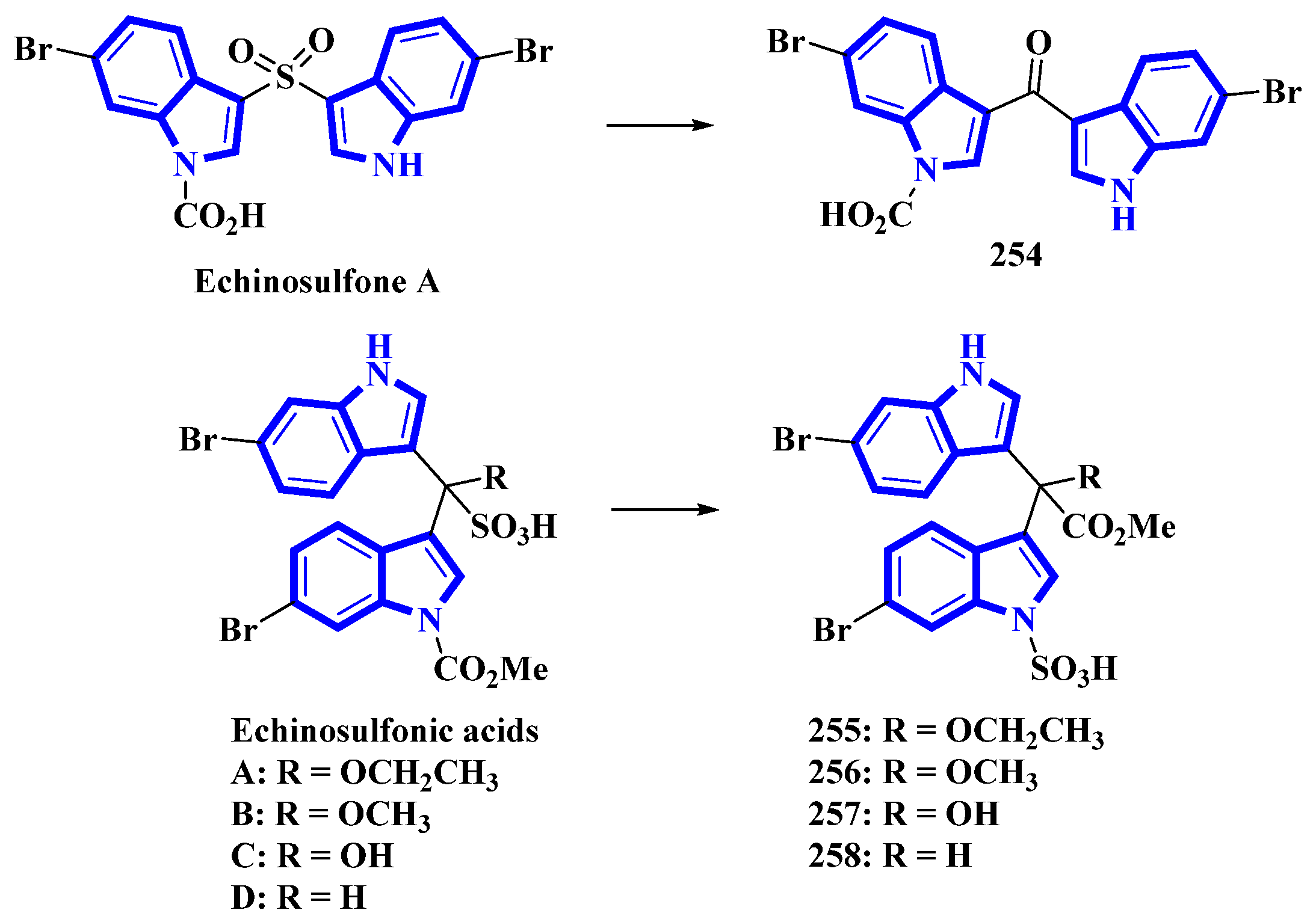 Molecules 27 07586 g013