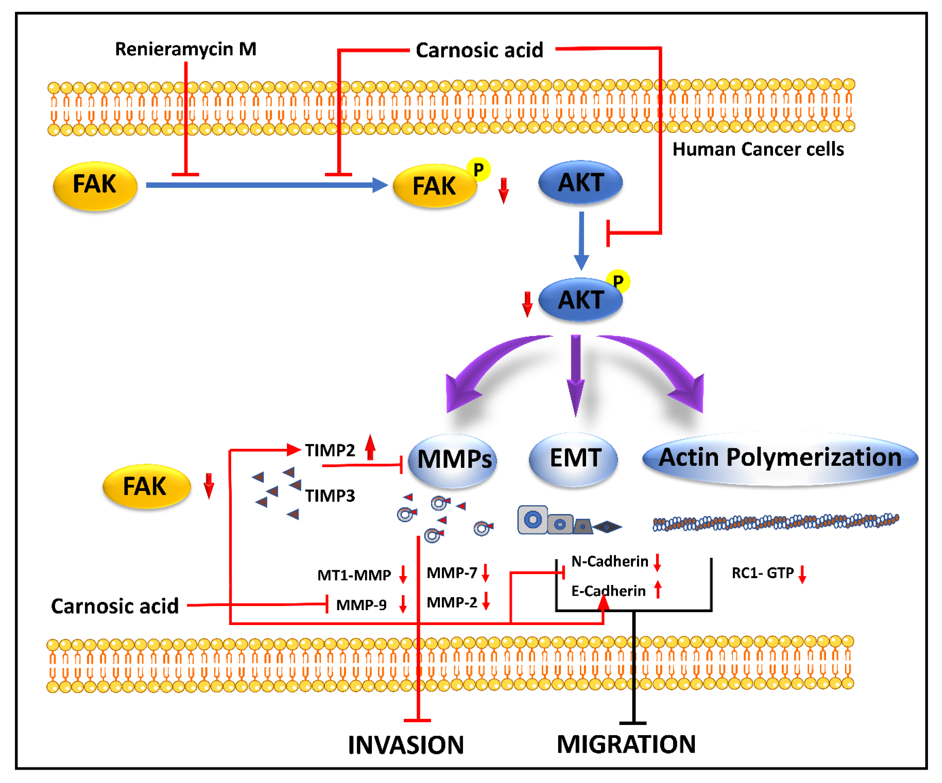 Molecules 27 07668 g003