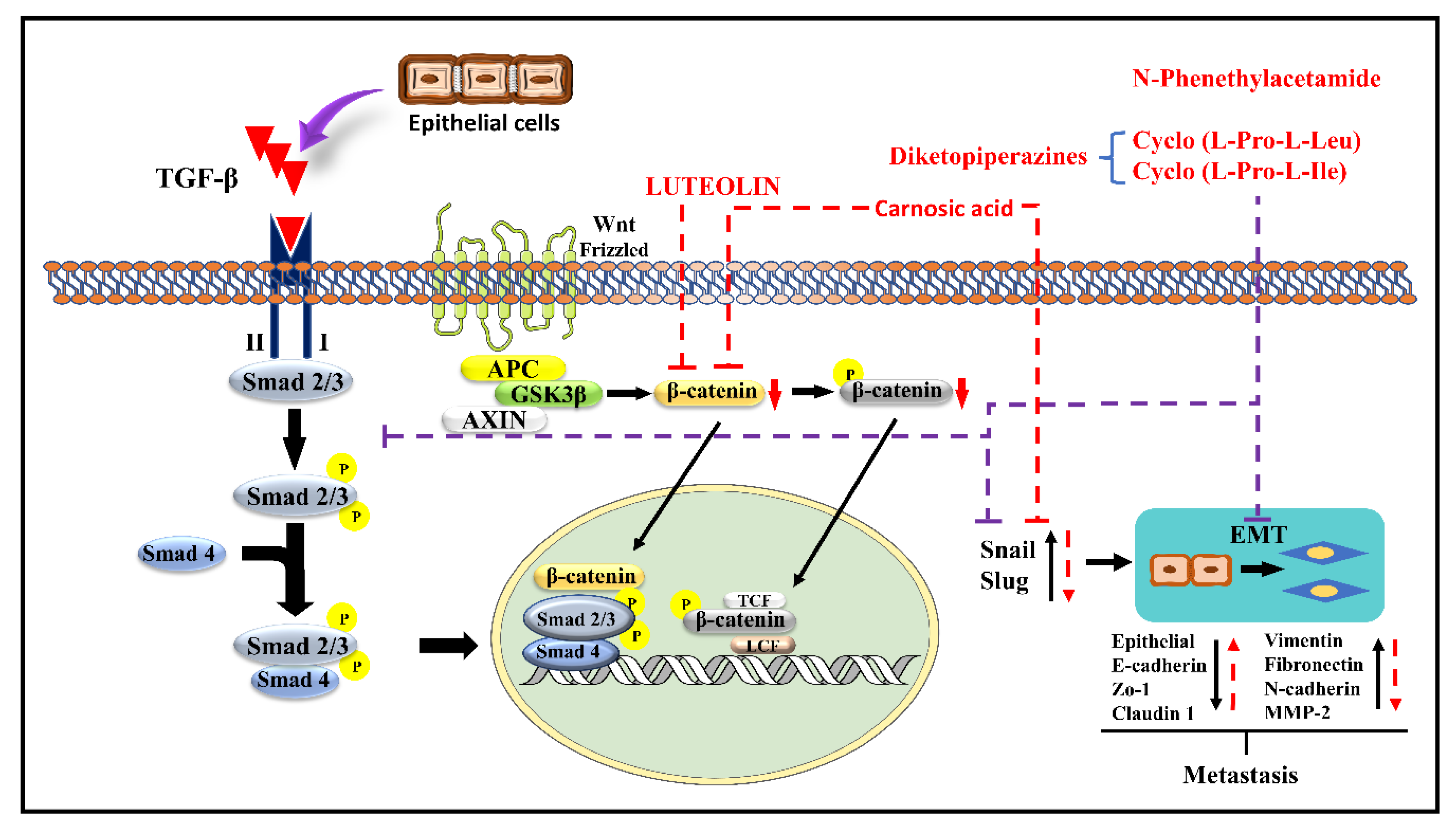 Molecules 27 07668 g004