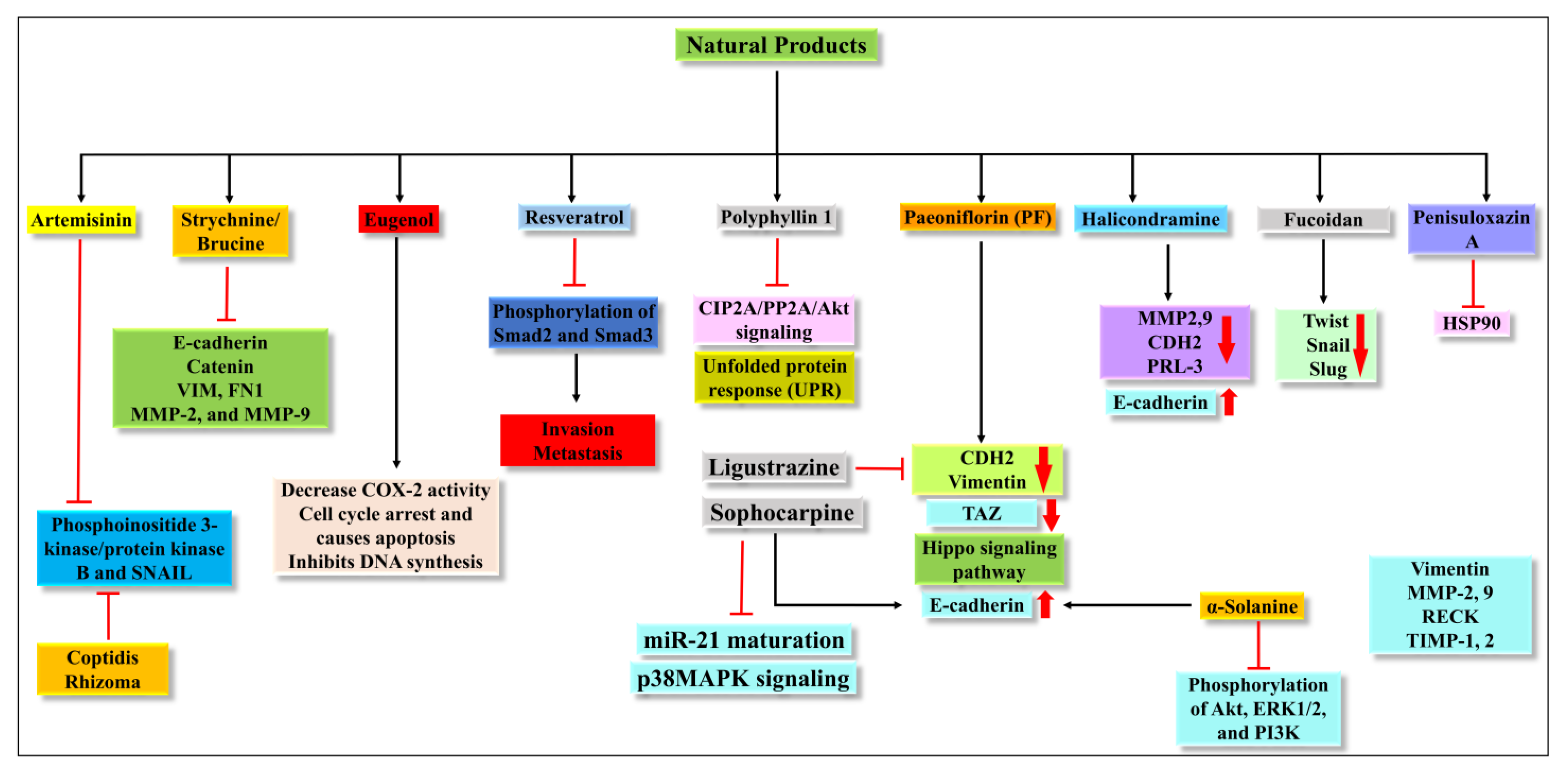 Molecules 27 07668 g005