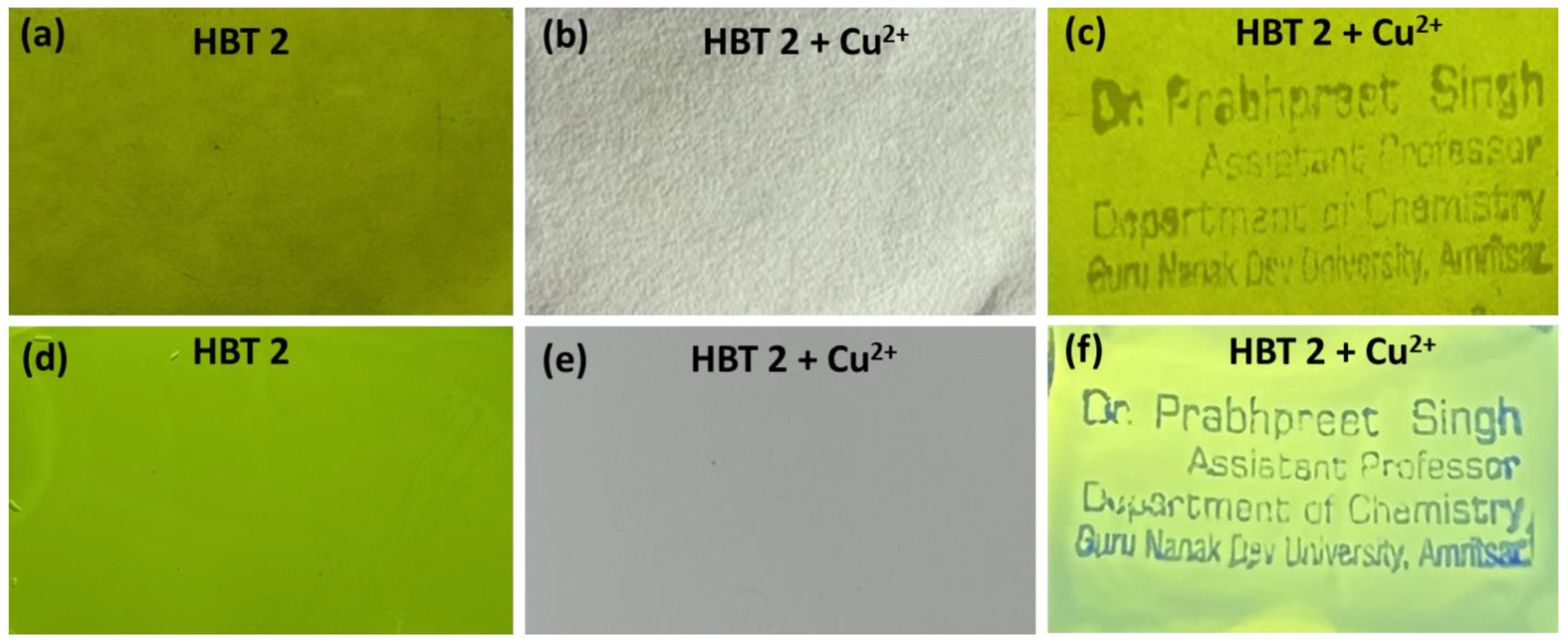 Molecules 27 07678 g008