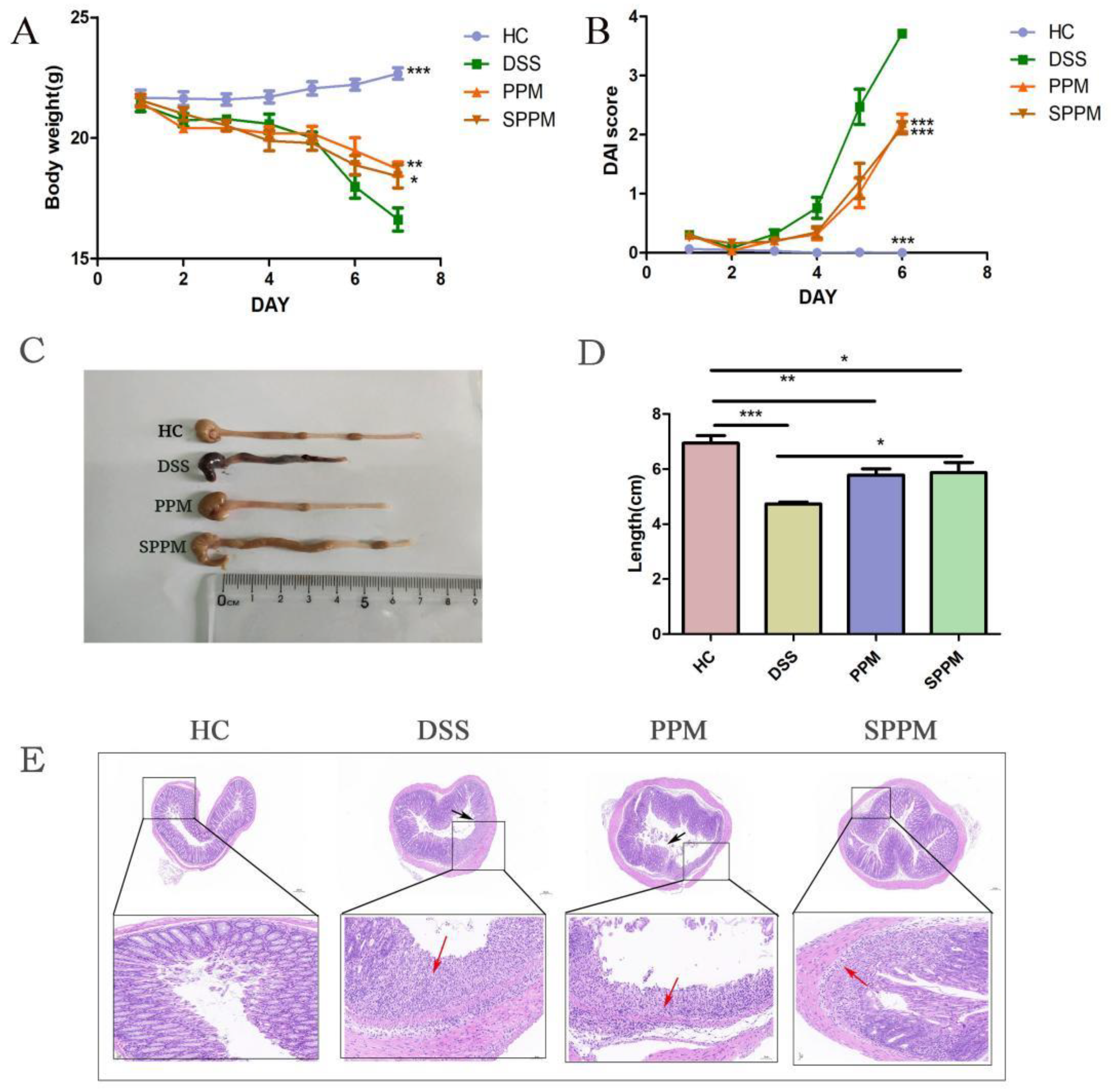 Molecules 27 07682 g002