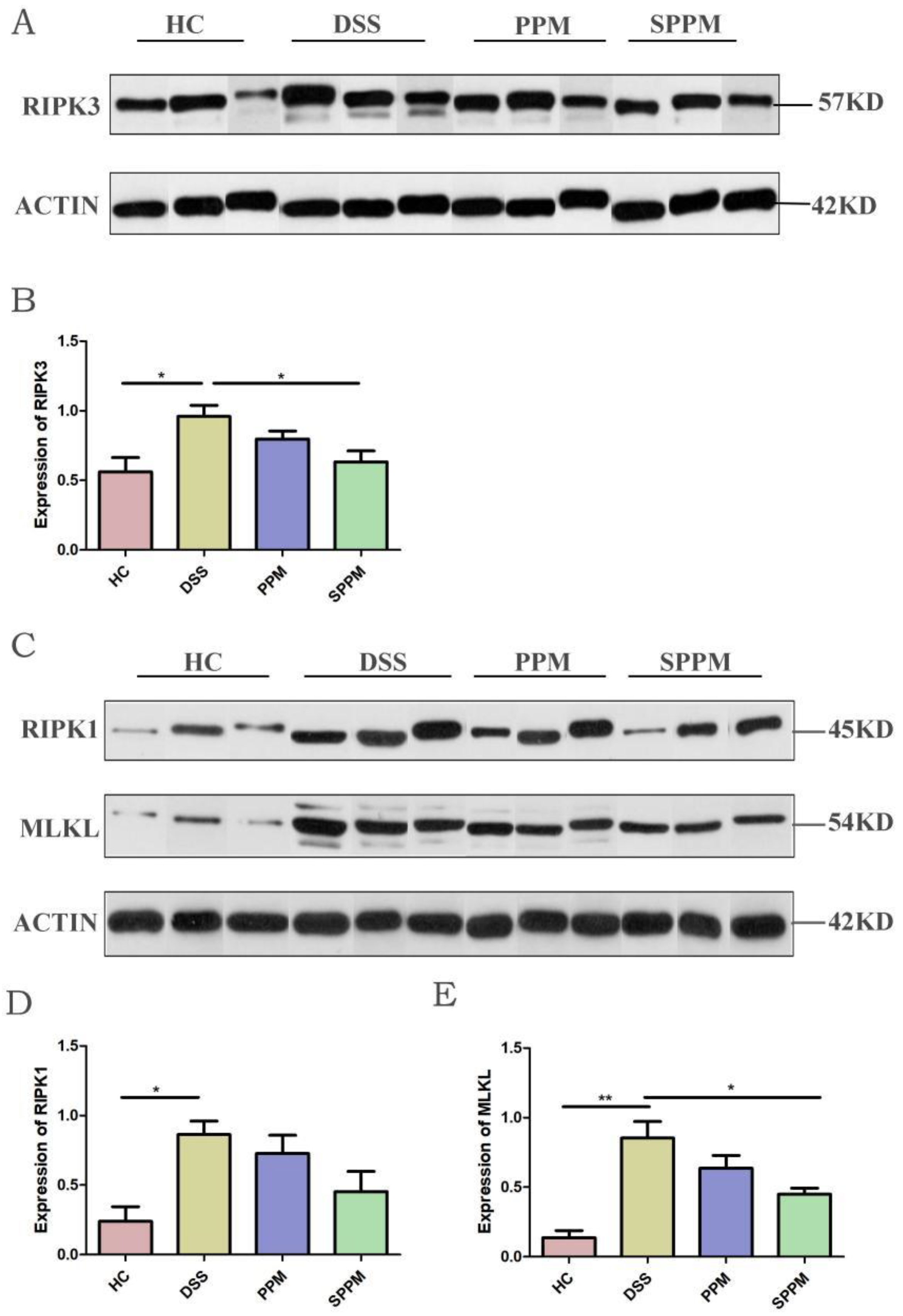 Molecules 27 07682 g007