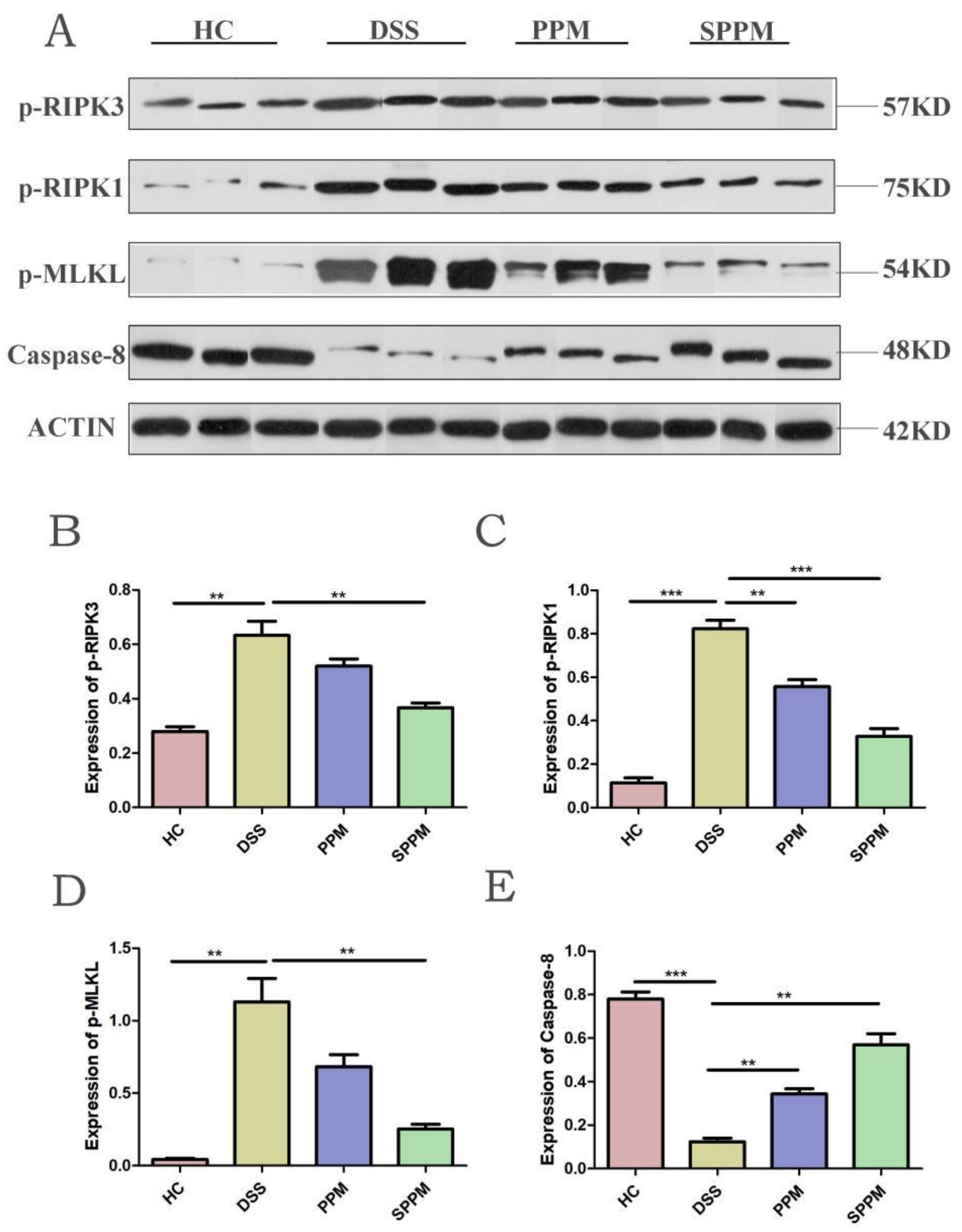 Molecules 27 07682 g008