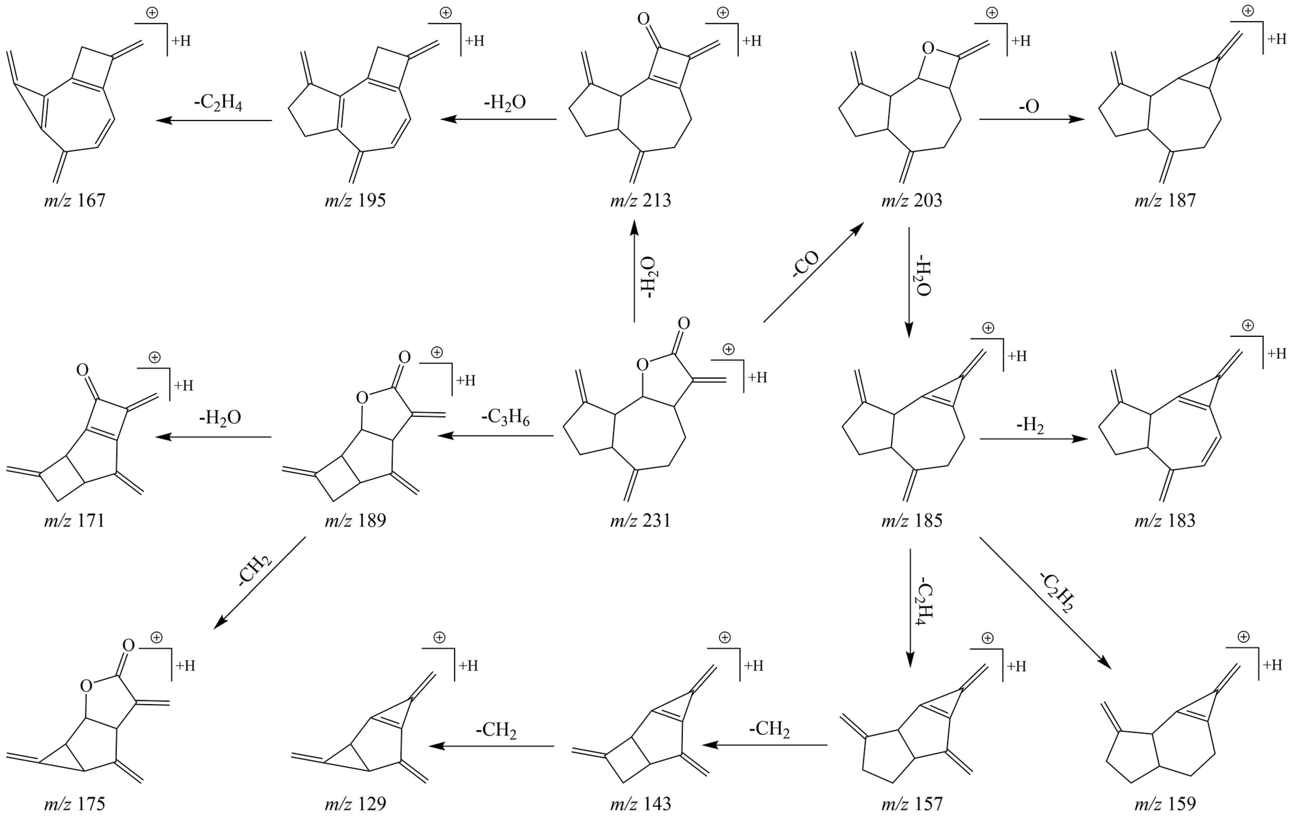 Molecules 27 07688 g004 Molecules 27 07688 g004