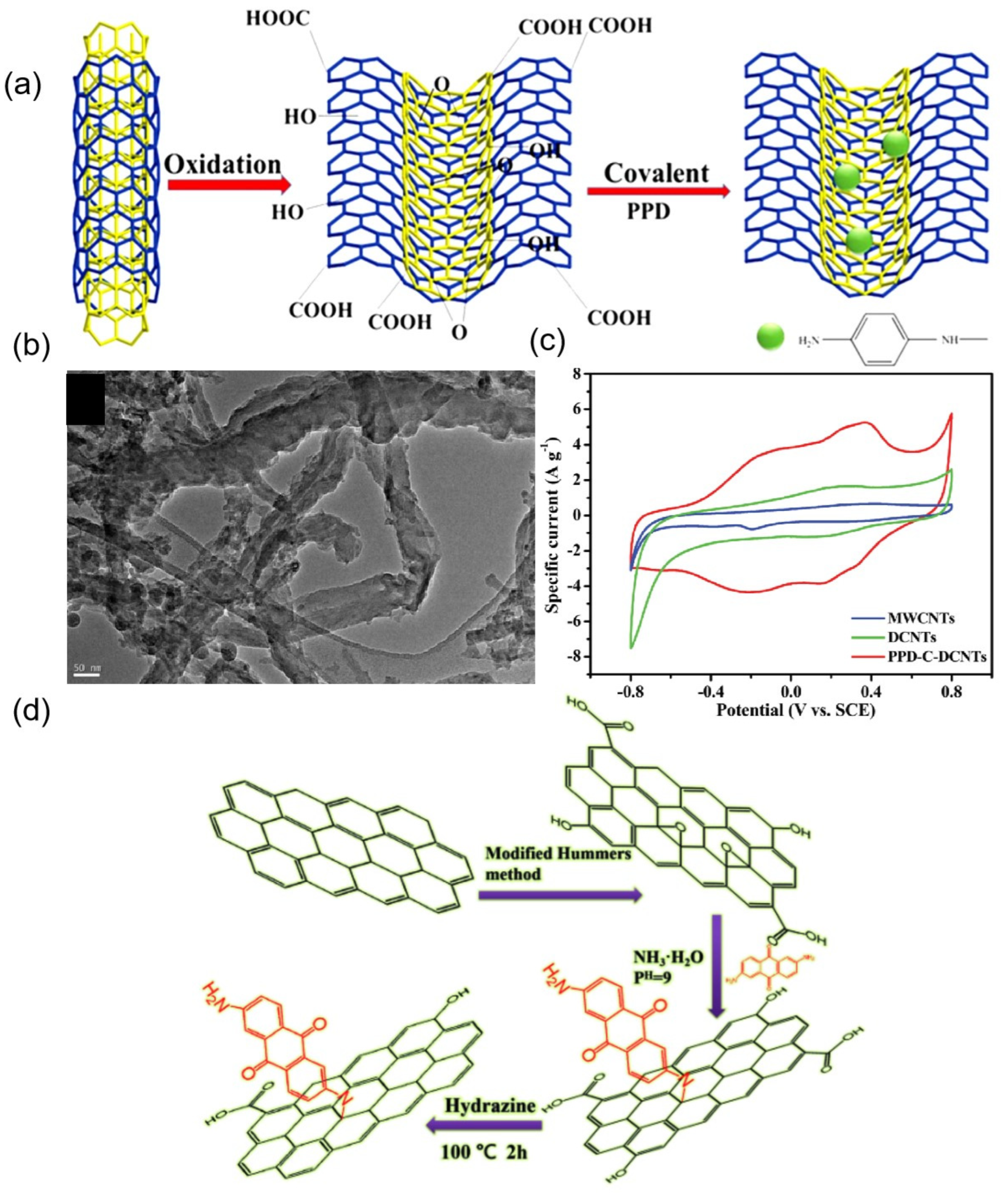 Molecules 27 07692 g007