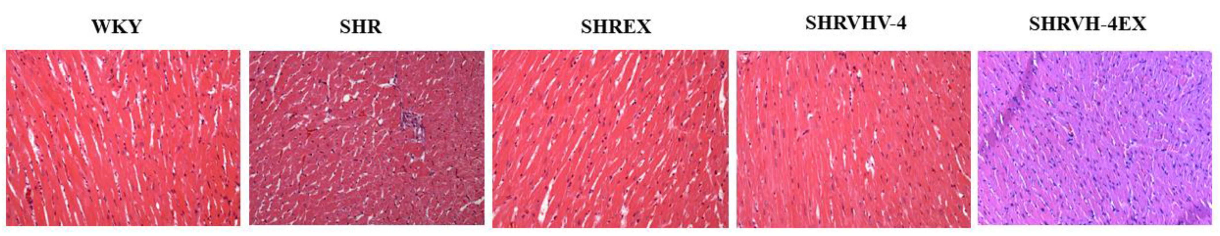 Molecules 27 07705 g002