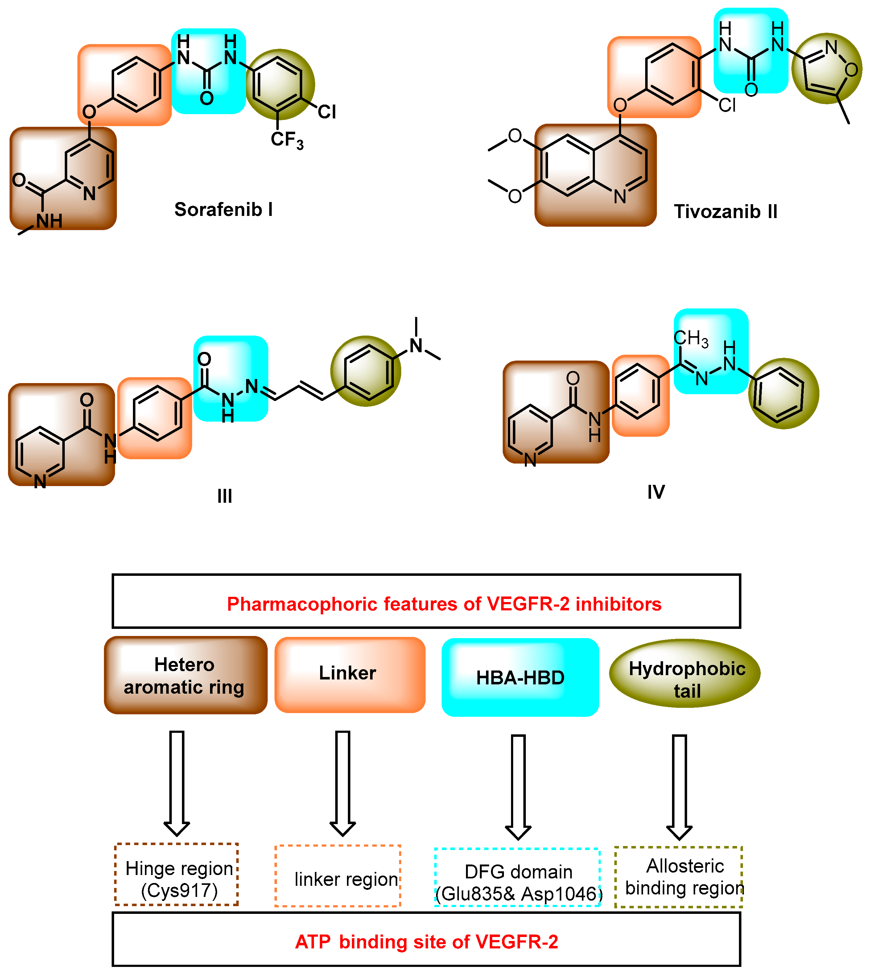 Molecules 27 07719 g001