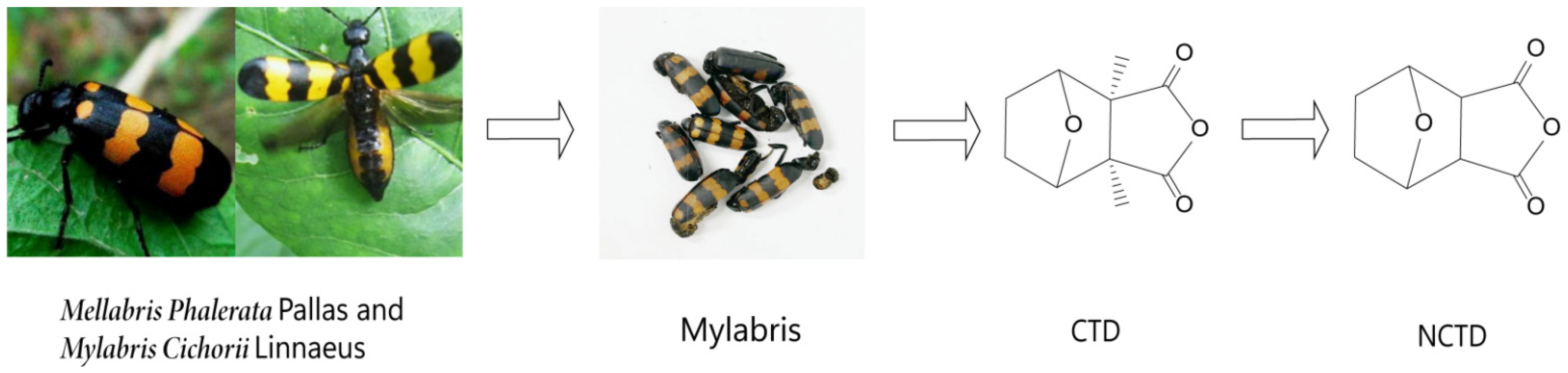 Molecules 27 07740 g001 Molecules 27 07740 g001