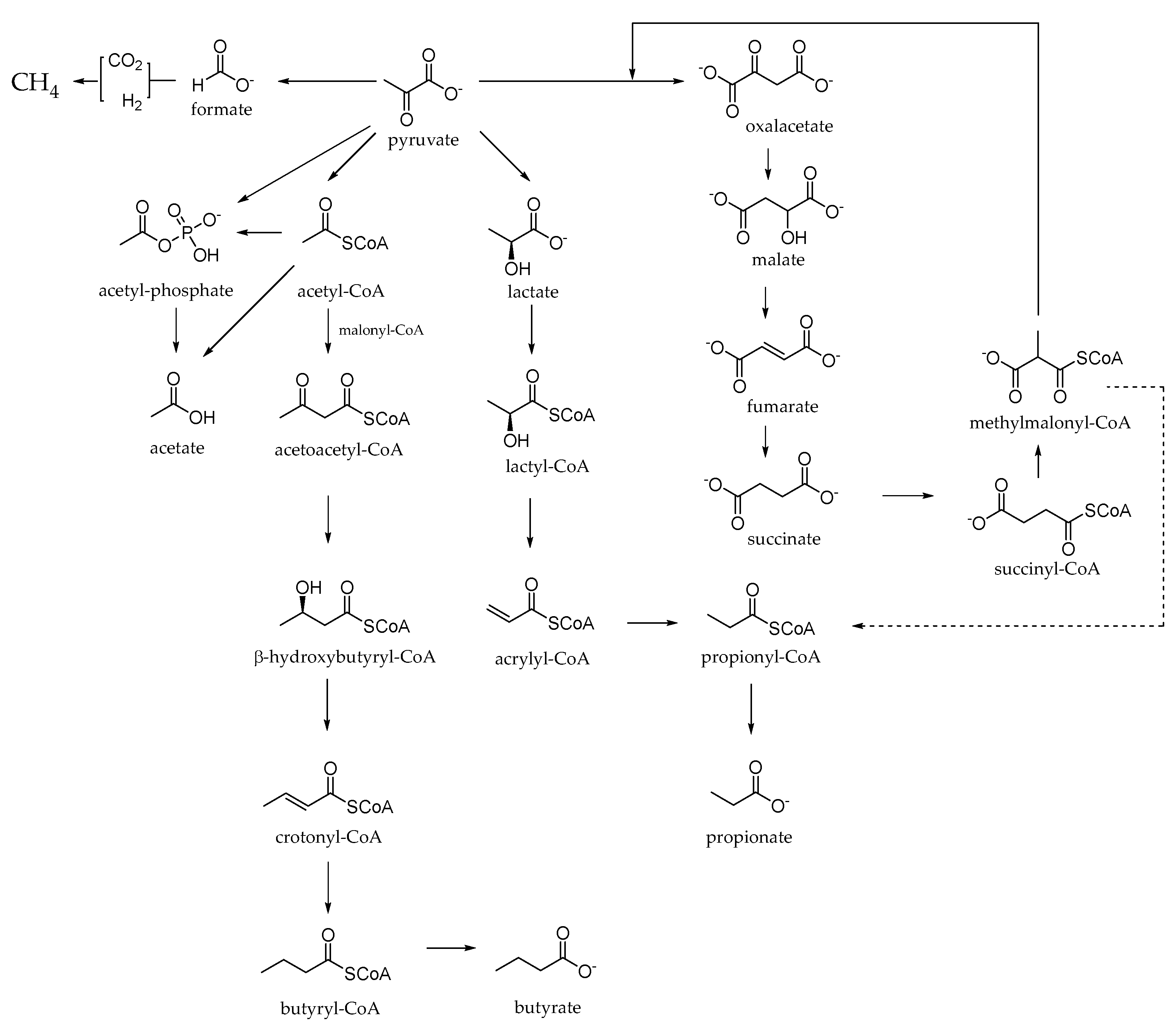 Molecules 27 07752 g003 Molecules 27 07752 g003