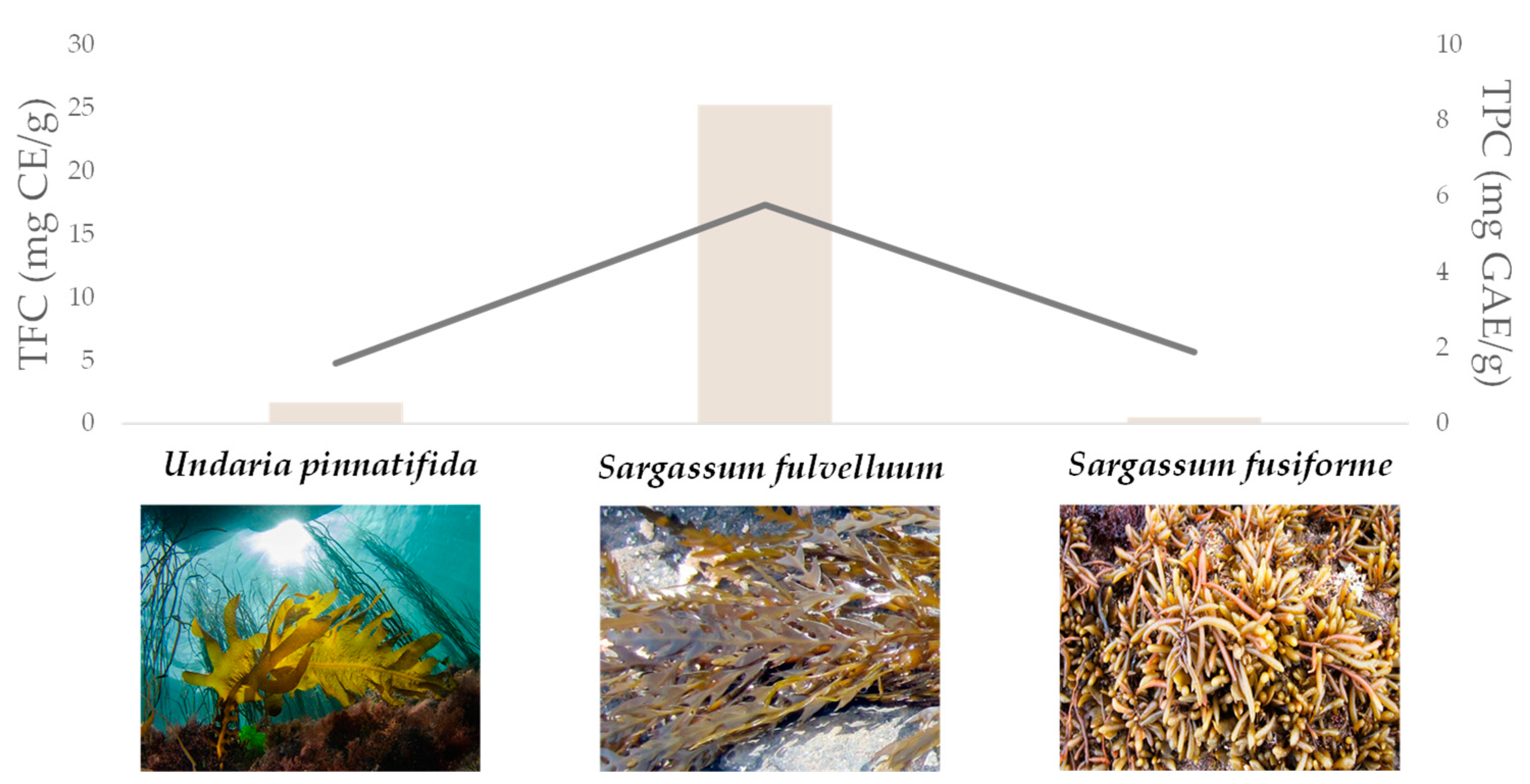 Molecules 27 07752 g006 Molecules 27 07752 g006